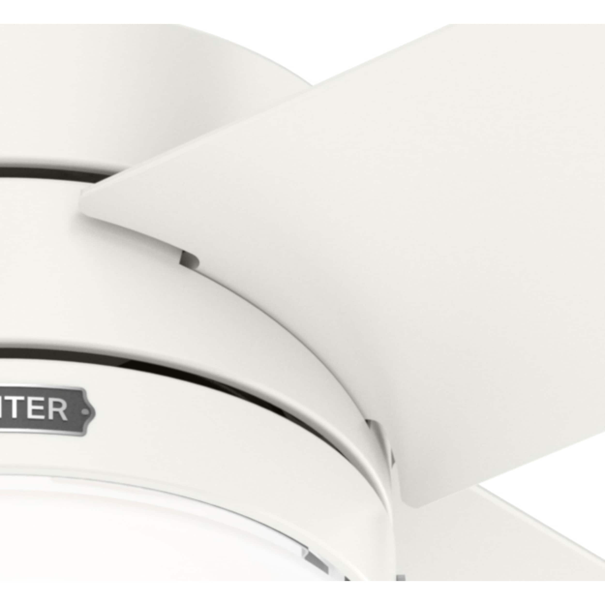 Hunter 52421 Ceiling-Fans - View #11