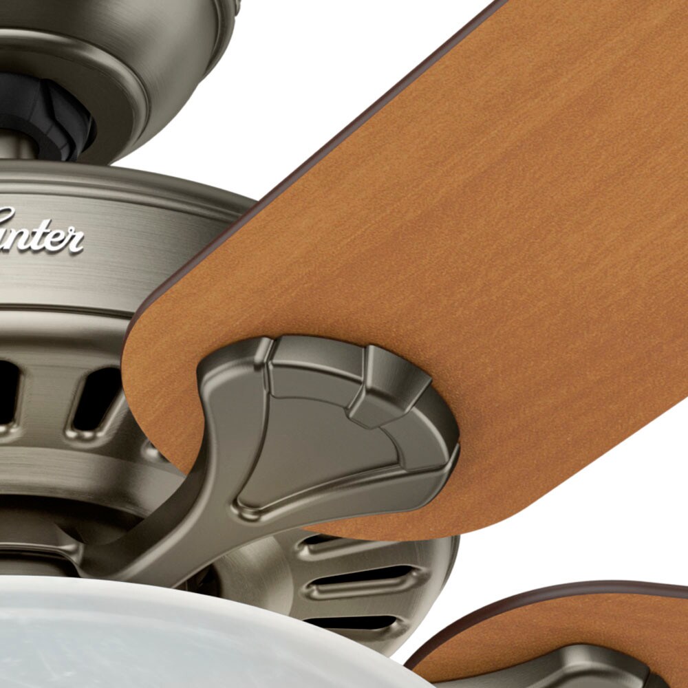 Hunter 53006 Ceiling-Fans - View #6