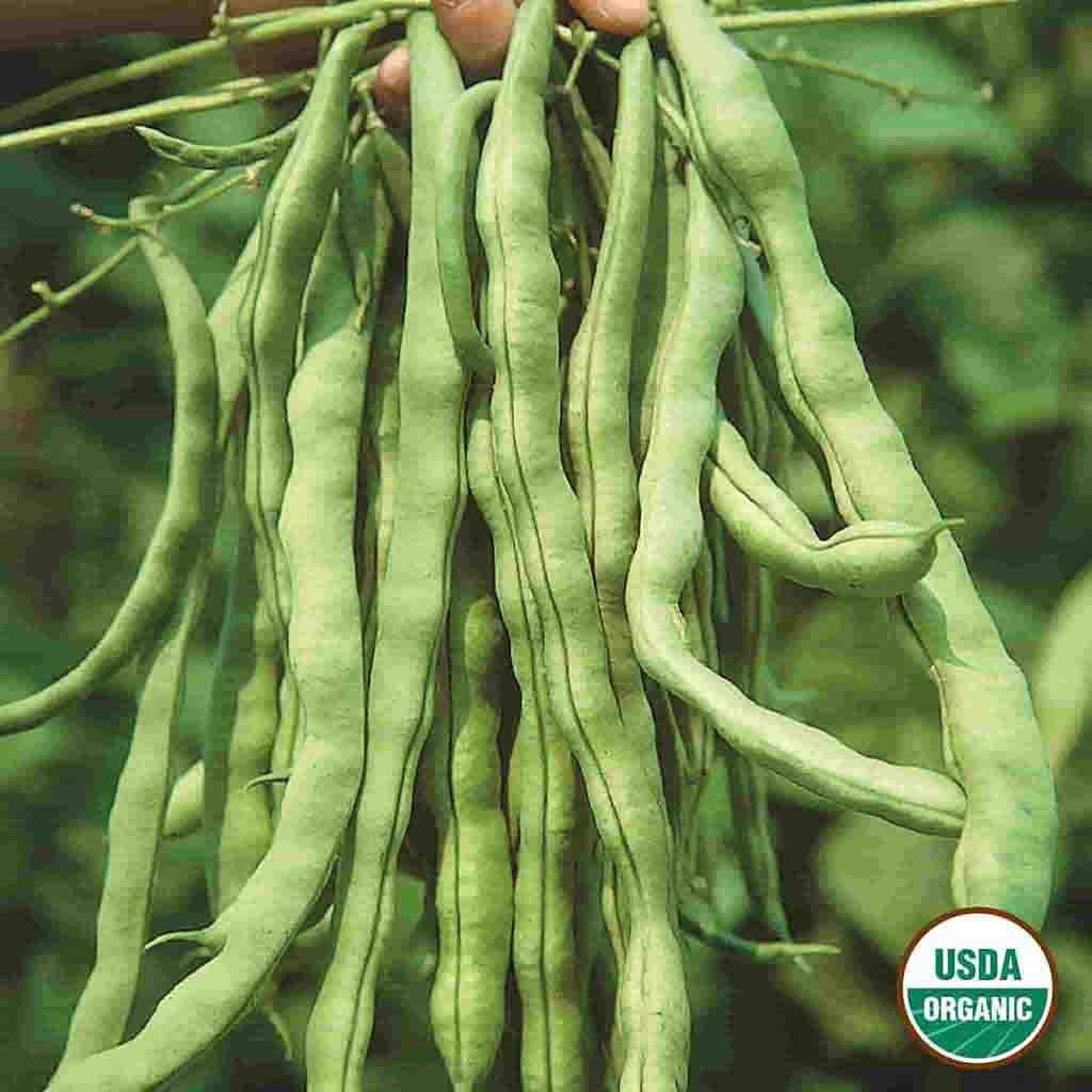 Ferry-Morse LC25.1402 Vegetable-Herb-Seeds - View #3