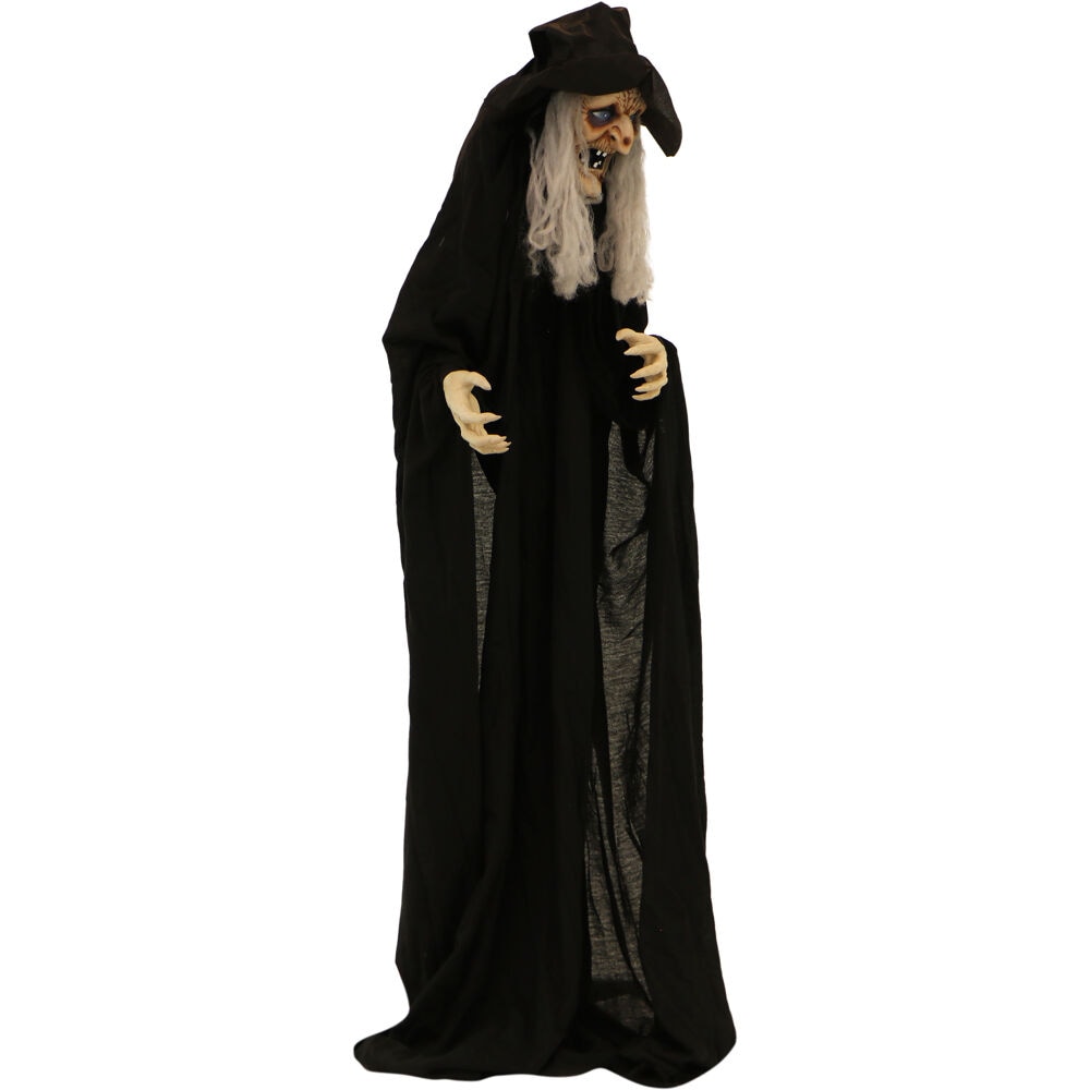 Haunted Hill Farm 66-in Talking Lighted Witch Figurine in the Halloween ...