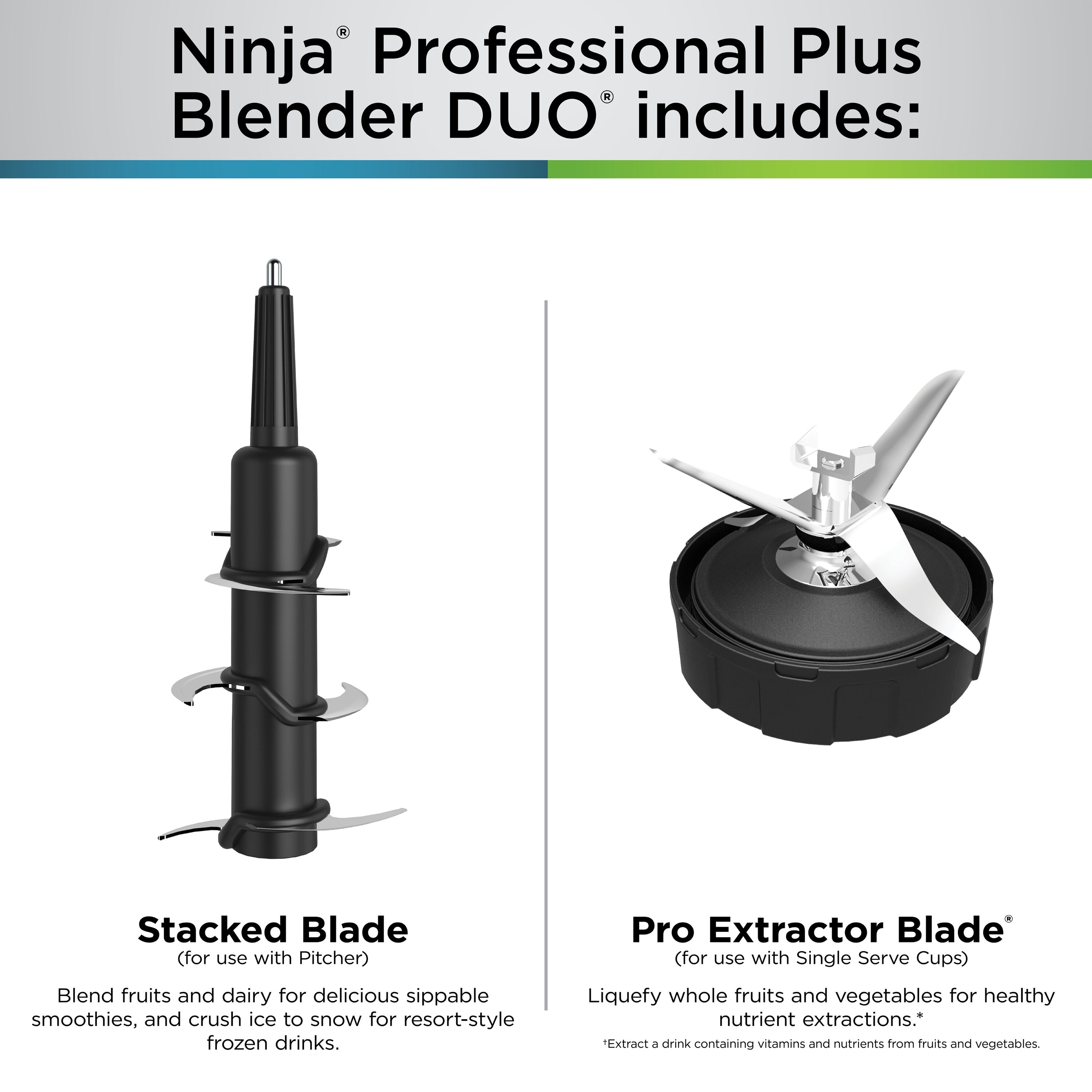 Ninja BN751 c050550 - View #8