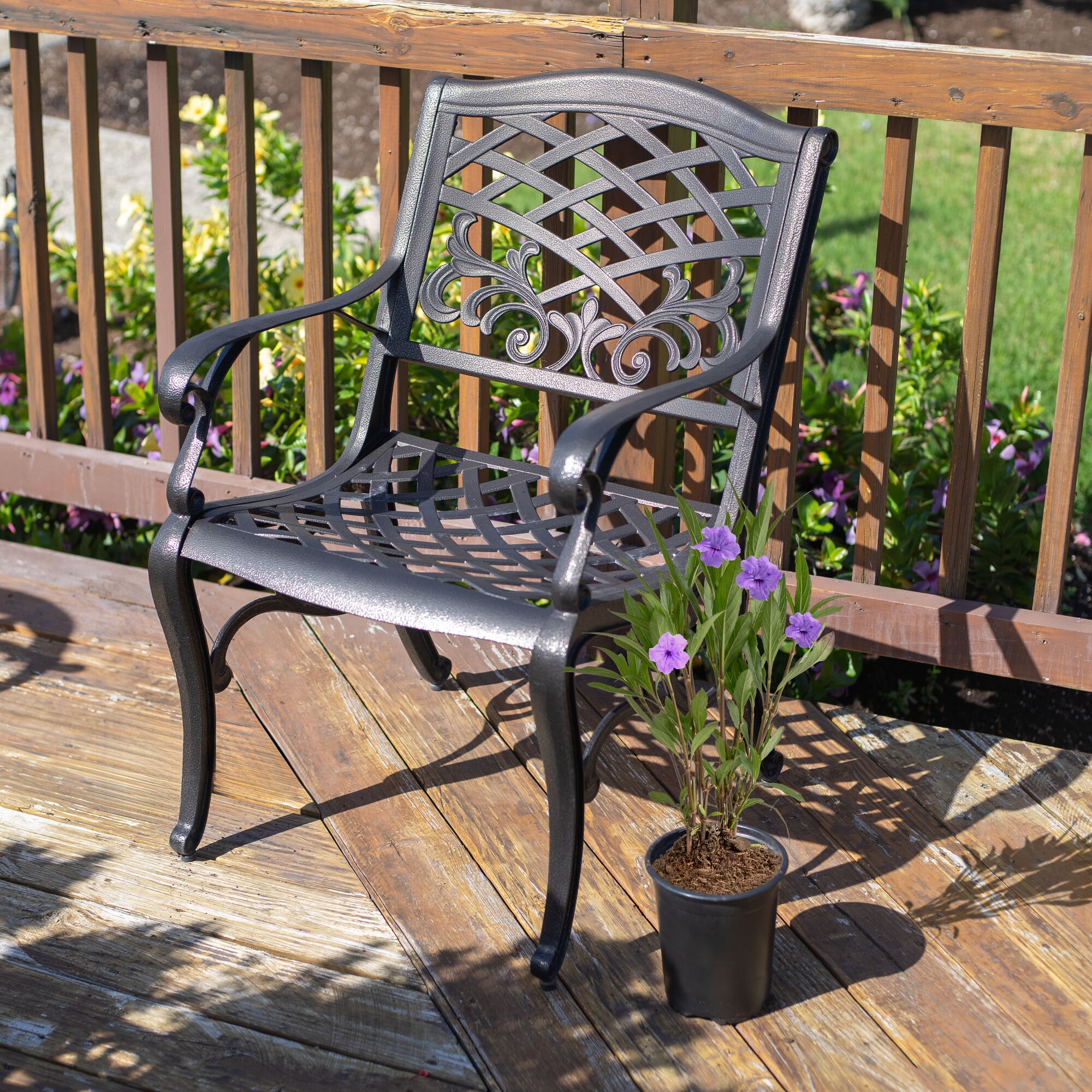 Costa Farms M-RUE-G-POT-01-LW shrubs - View #4