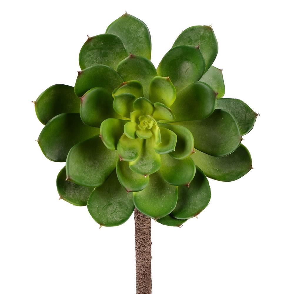 Vickerman FH180401 6-in Green Indoor Succulent Artificial Plant