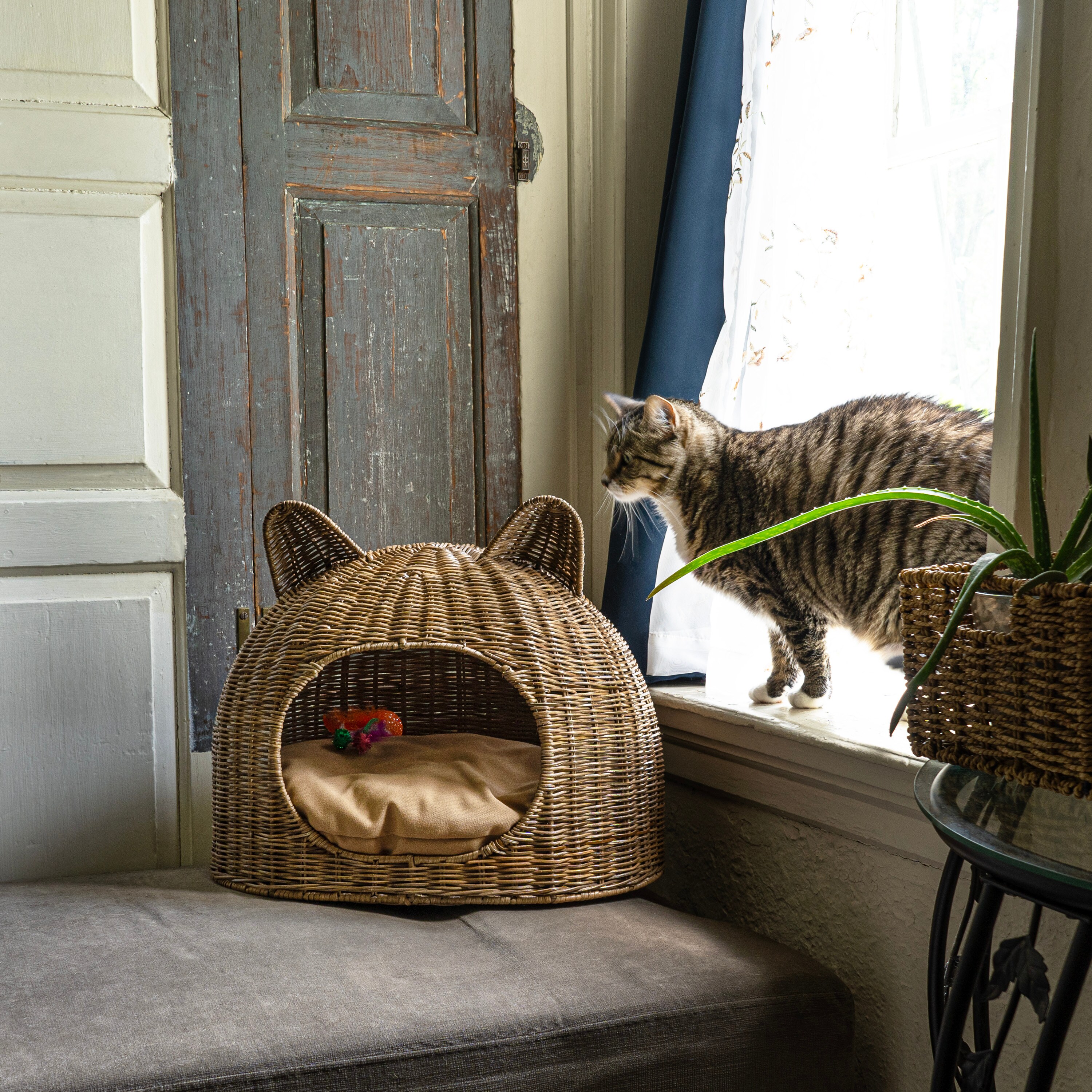 The Licker Store CBD1000A Pet-Beds - View #8