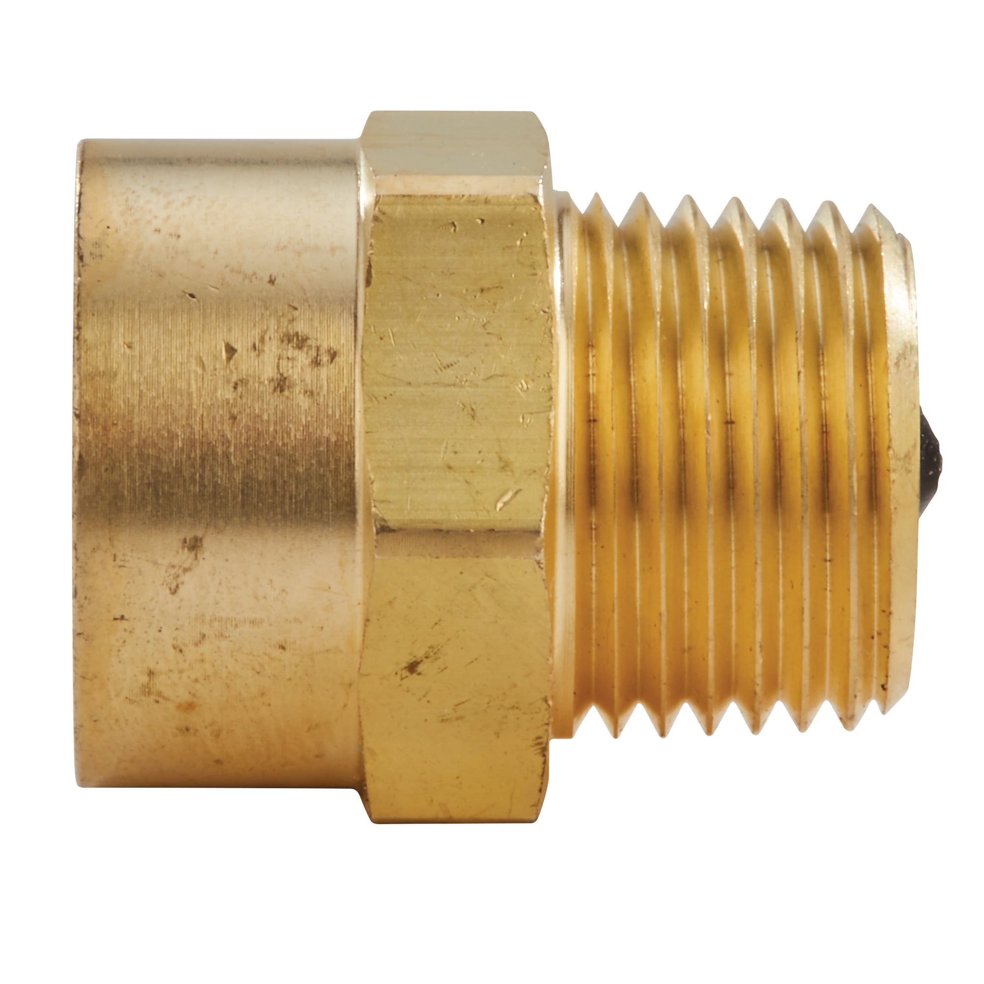 Watts 1/2-in FNPT x FNPT Brass Check valve 50 -Pack #SCV 1/2