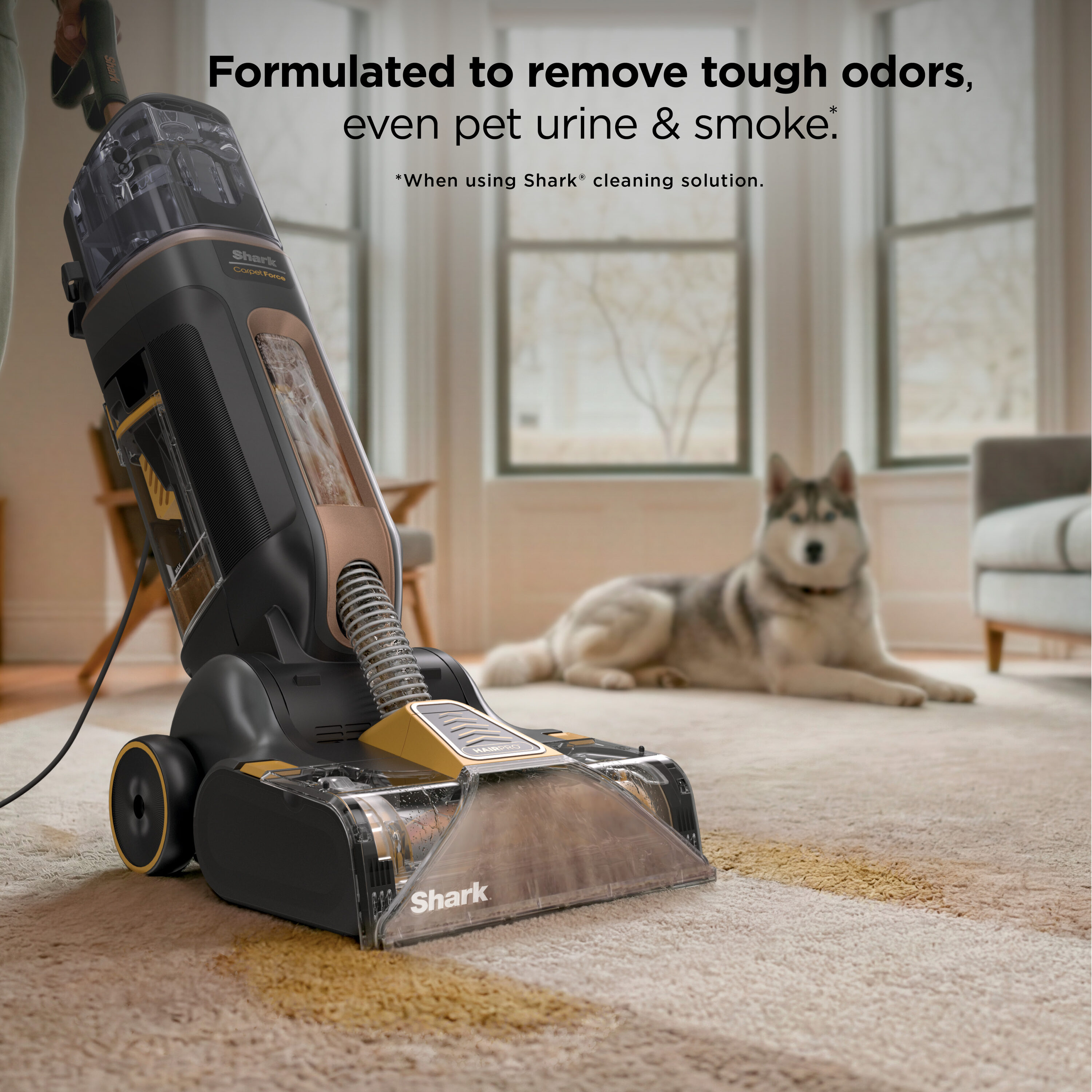Shark EX551 Carpet-Cleaner - View #10