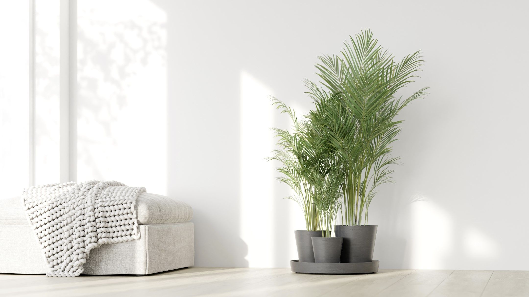 ECOPOTS 5413724329633 Planter-Window-Box - View #3