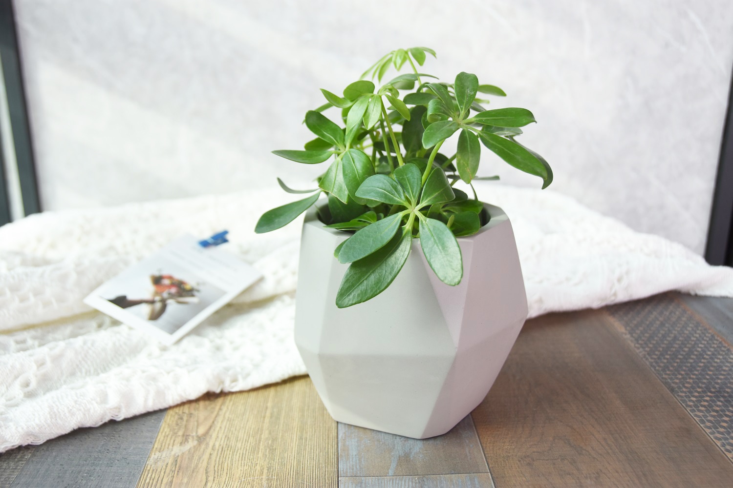 Modeno EN-MF1077LH Planter-Window-Box - View #4