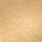 Champagne Bronze
