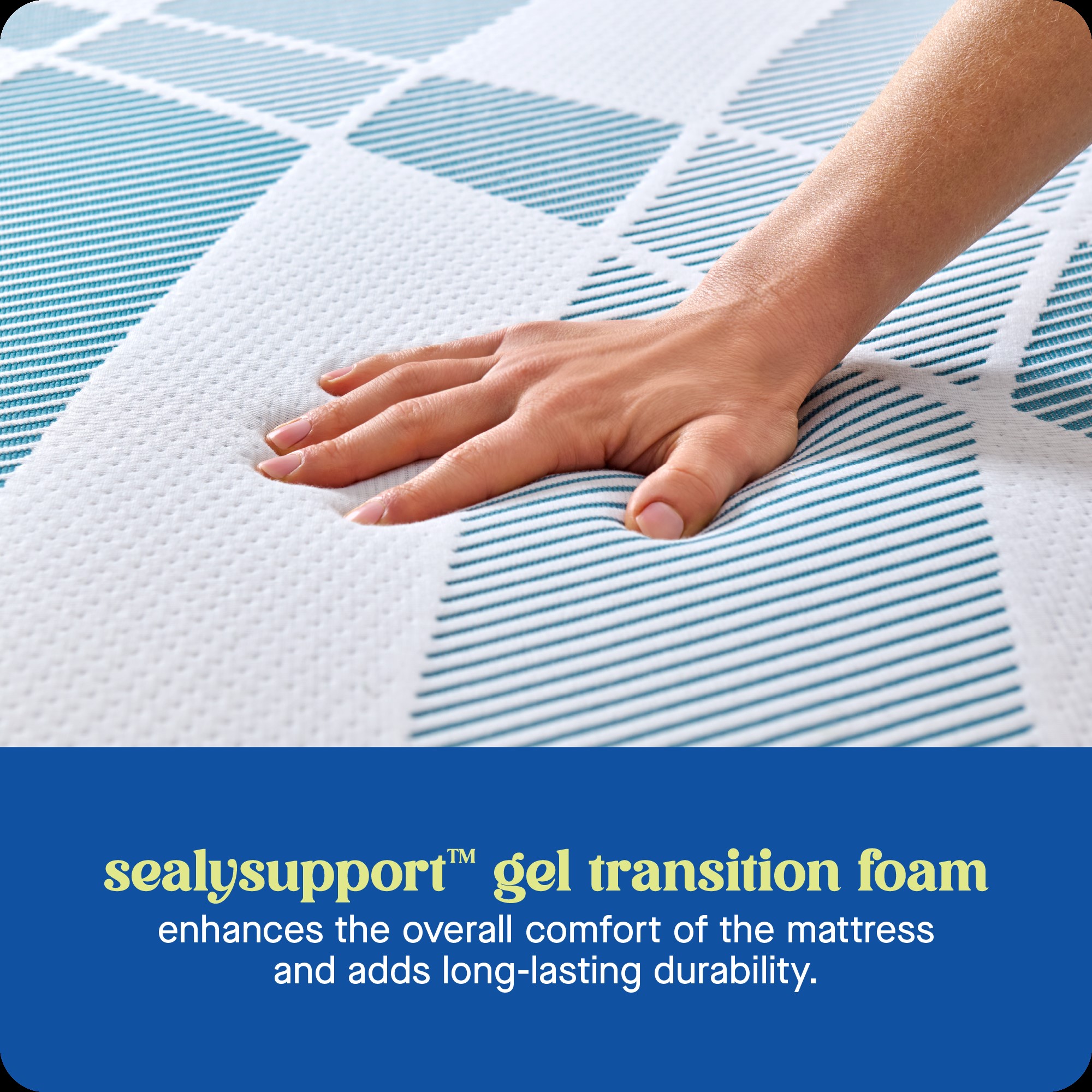 Sealy F03-00242-TX0 Mattresses-Boxsprings - View #4