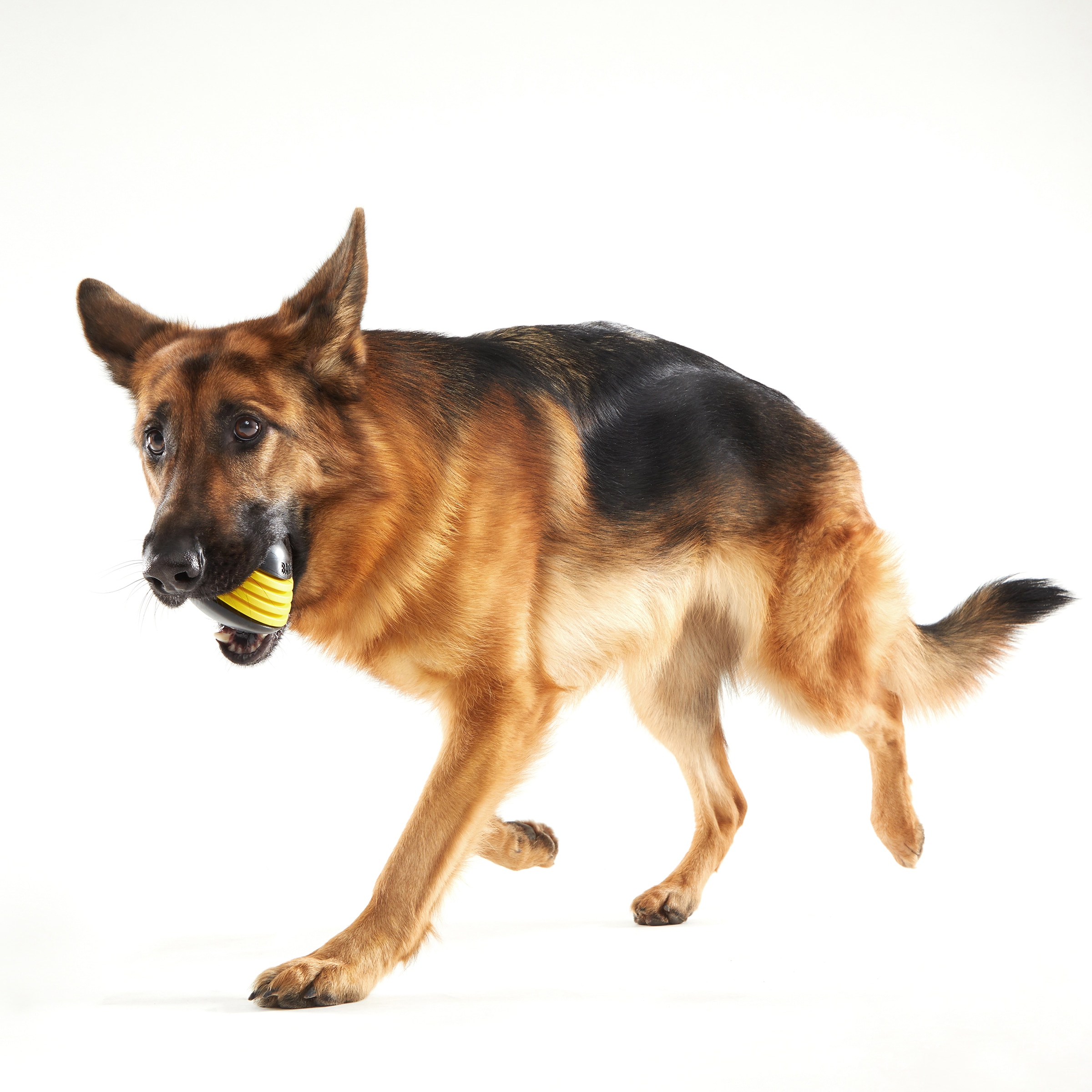 BARK 214994 Dog-Toys - View #3