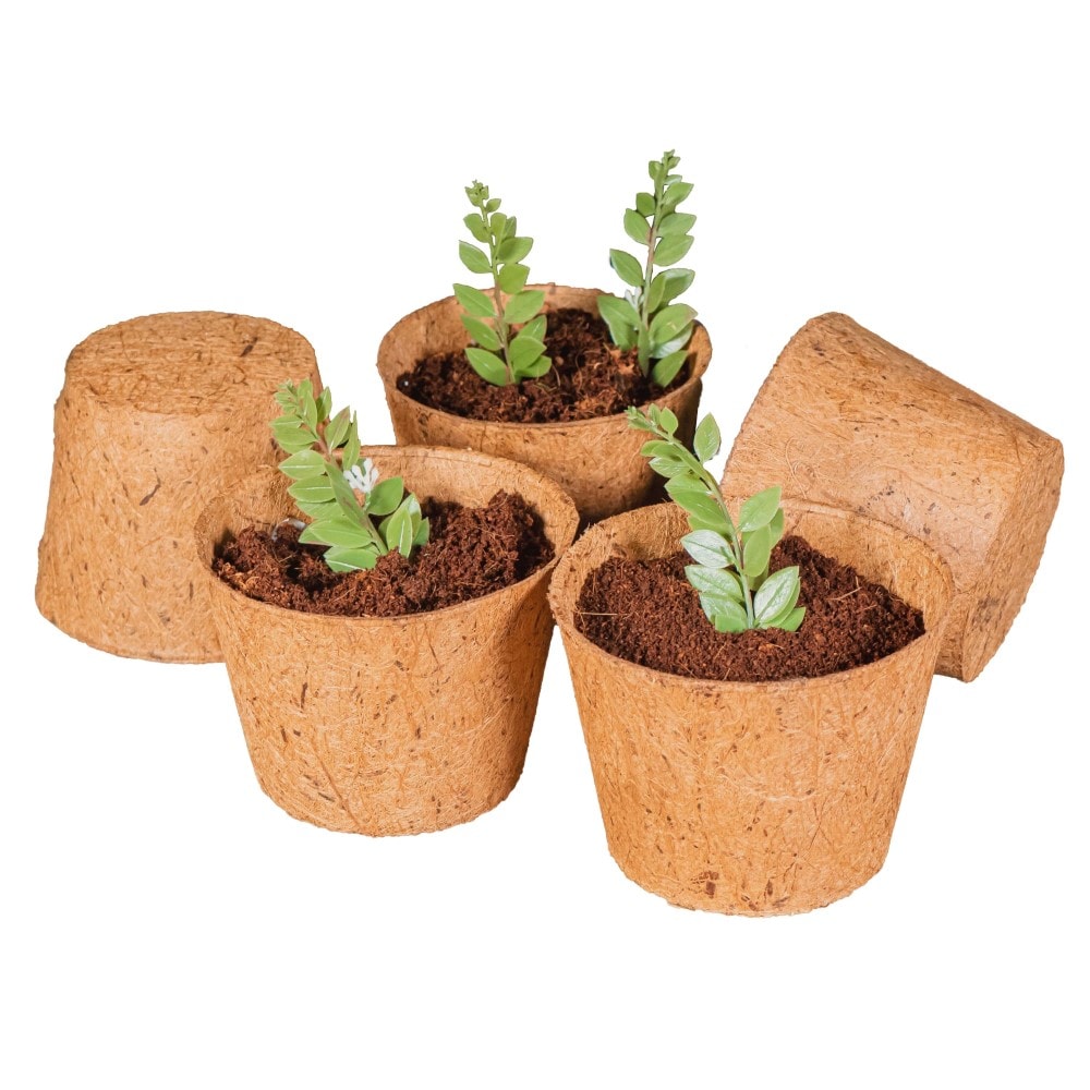 Organic & Plantable Seed Starting Pots (24 ct)
