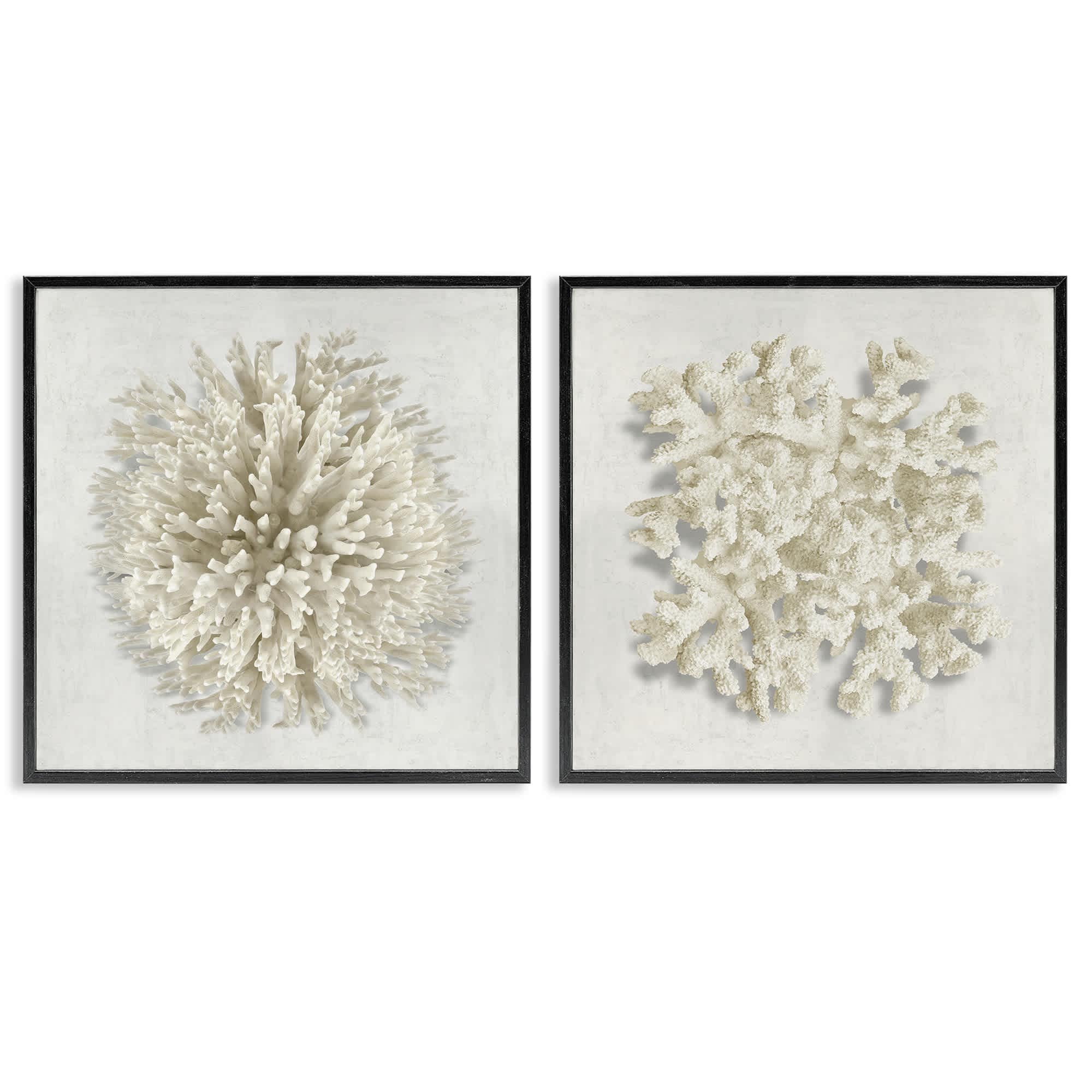 Stupell Industries B2-786-FR-2PC-24X24 Distinct Natural Coral 2 Piece Black Framed Giclee Art Set By Caroline Kelly 24 x 24