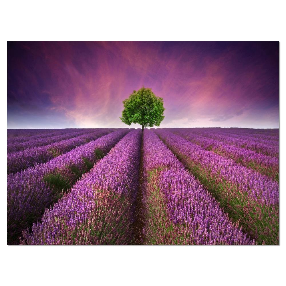 Designart 12-in H x 20-in W Landscape Print on Canvas at Lowes.com