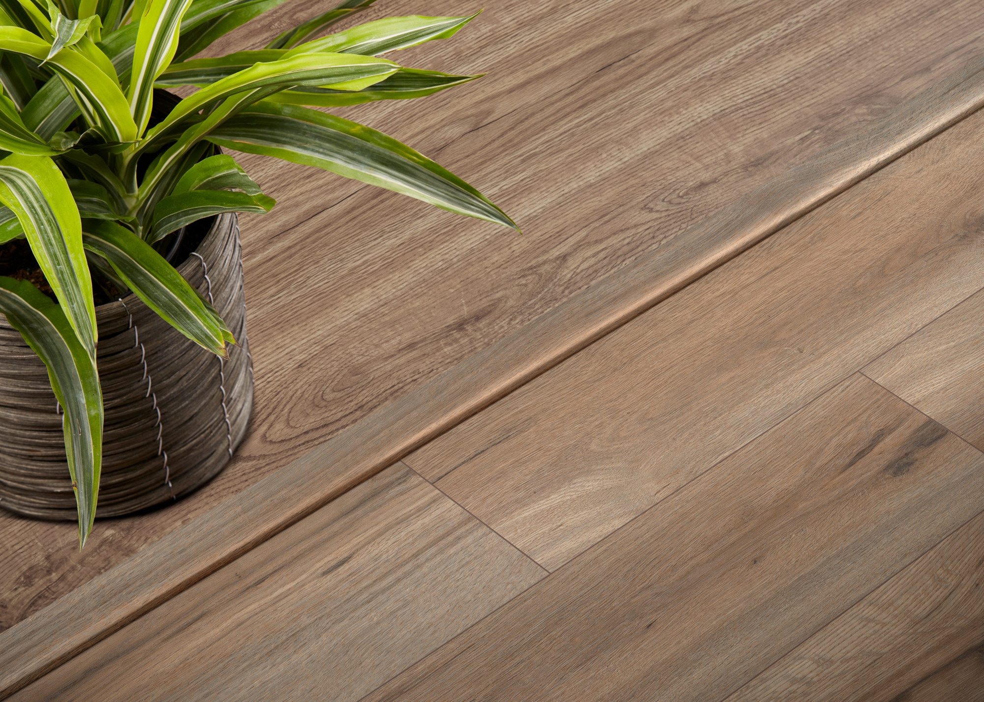 SMARTCORE LXMPR00252 Floor-Moulding - View #3