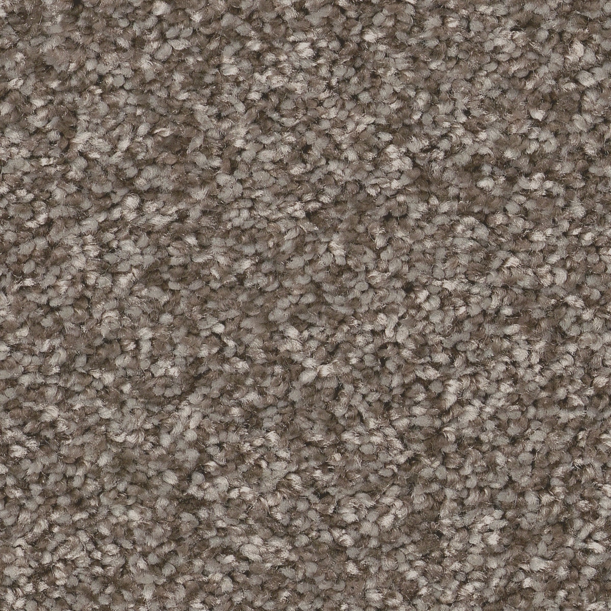 STAINMASTER 7L868 - 750 - SAMP (Sample) Effortless Appeal II Cobblestone Multi-Colored 58.5-oz sq yard Polyester Textured Indoor Carpet