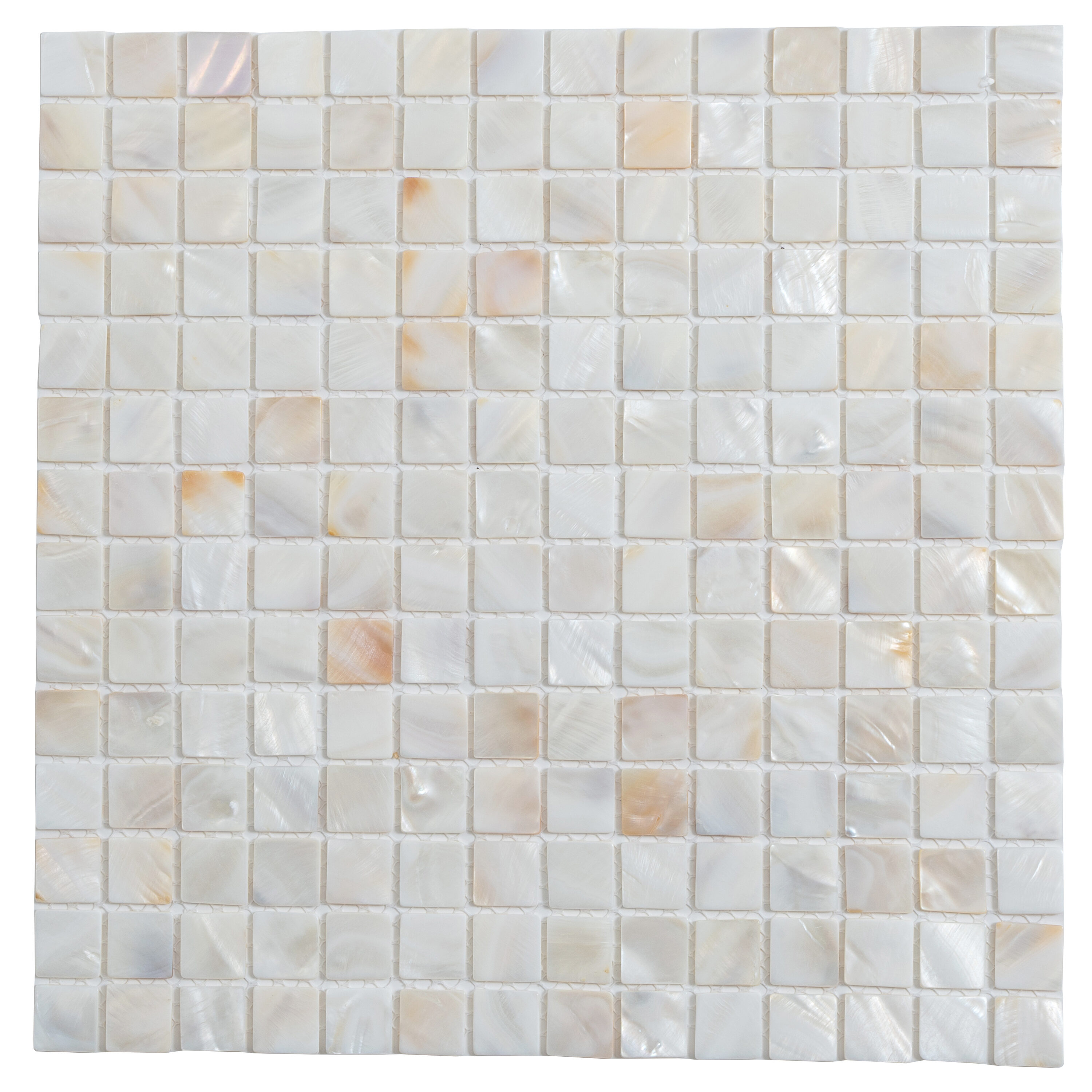 Apollo Tile (Sample) Wall Beige Natural Shell 4-in x 4-in Polished Marble Uniform Squares Patterned Wall Tile