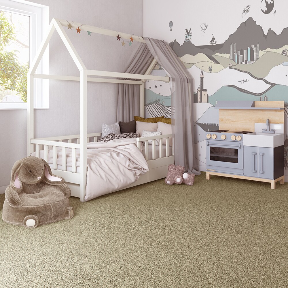 STAINMASTER LW185-L008-0808 Carpet-Samples - View #3