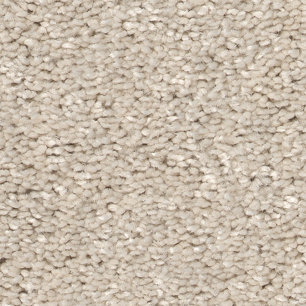 Style Selections 7L84600100 Dialed In I Halo Off-white 25-oz sq yard Polyester Textured Indoor Carpet