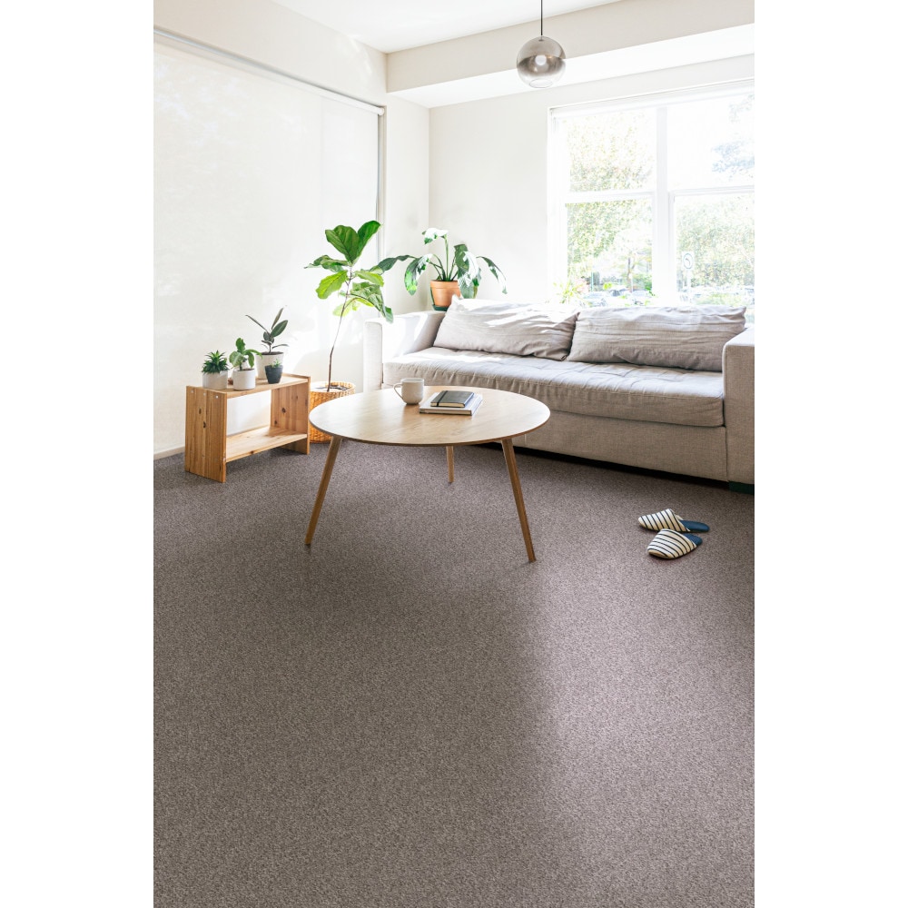 Style Selections 7L919-502-SAMP Carpet-Samples - View #2