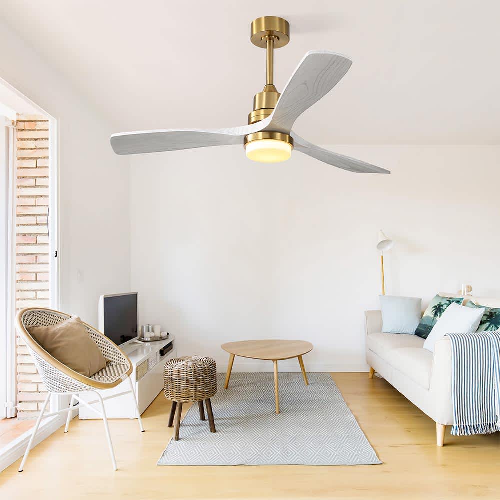 JUJABU FAN-1 Ceiling-Fans - View #3