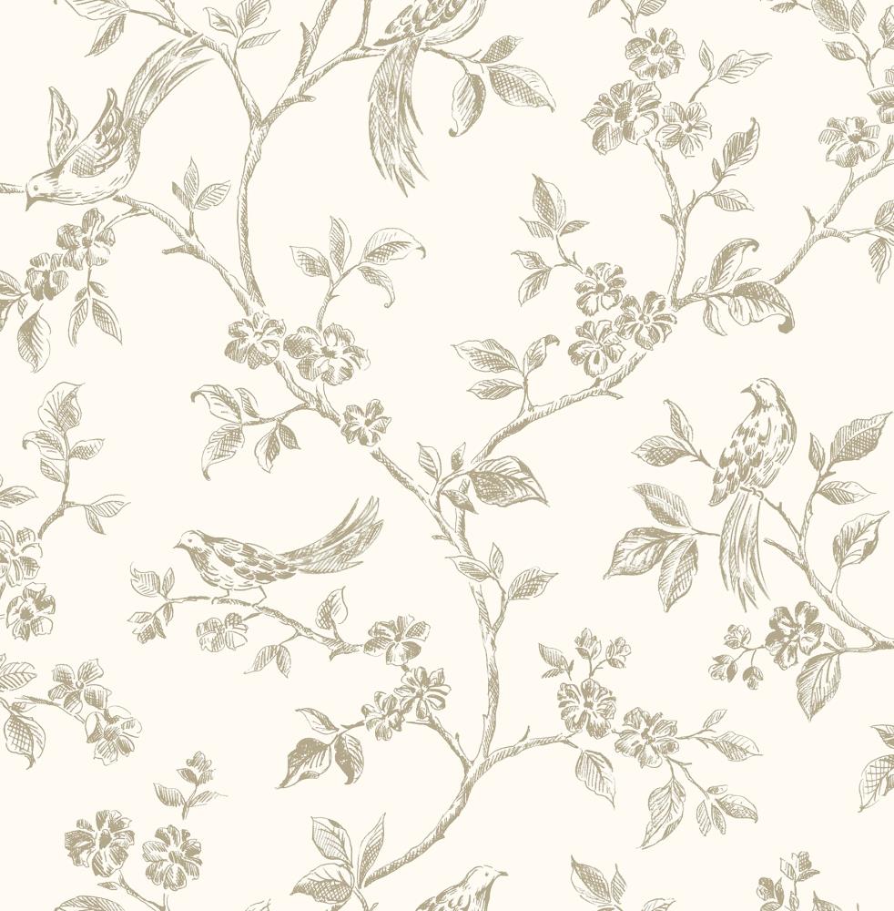 Fine Decor Medley 56.4-sq ft Taupe Paper Birds Unpasted Wallpaper at ...