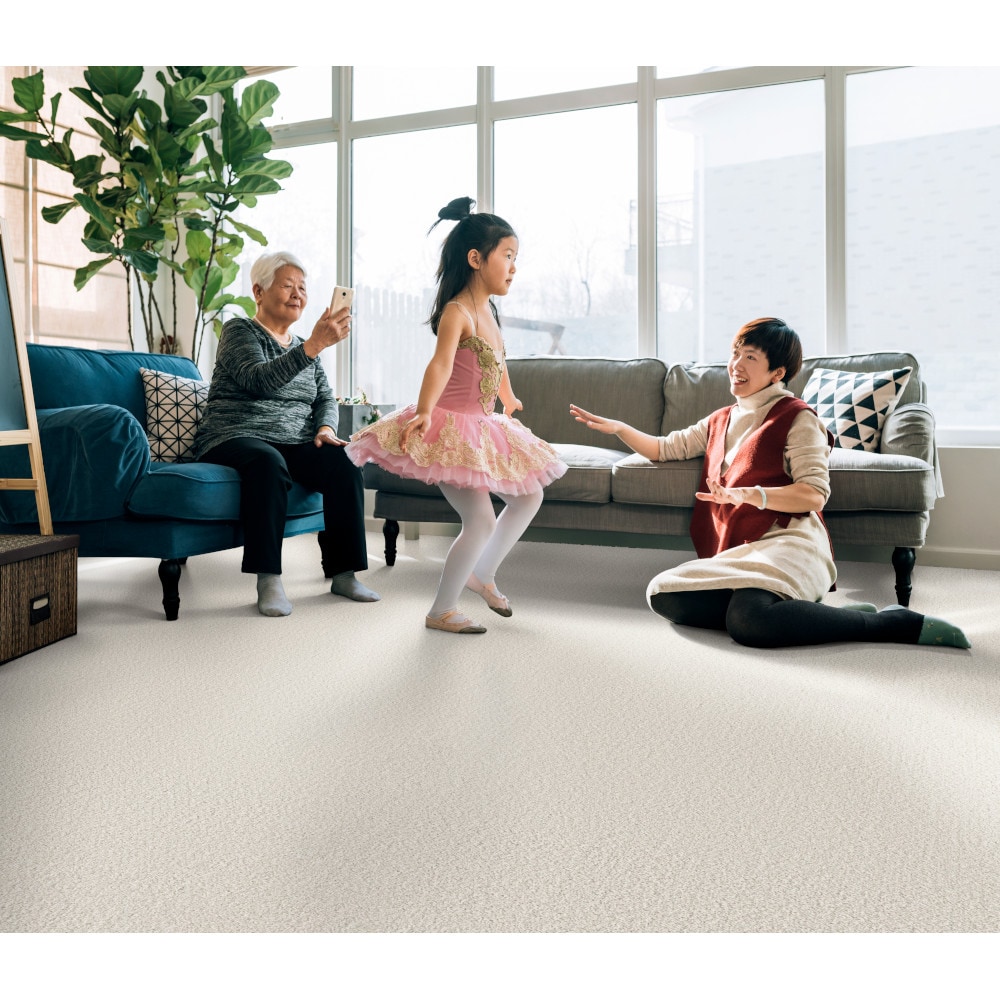 STAINMASTER PetProtect 7L850 - 153 - SAMP Carpet-Samples - View #3
