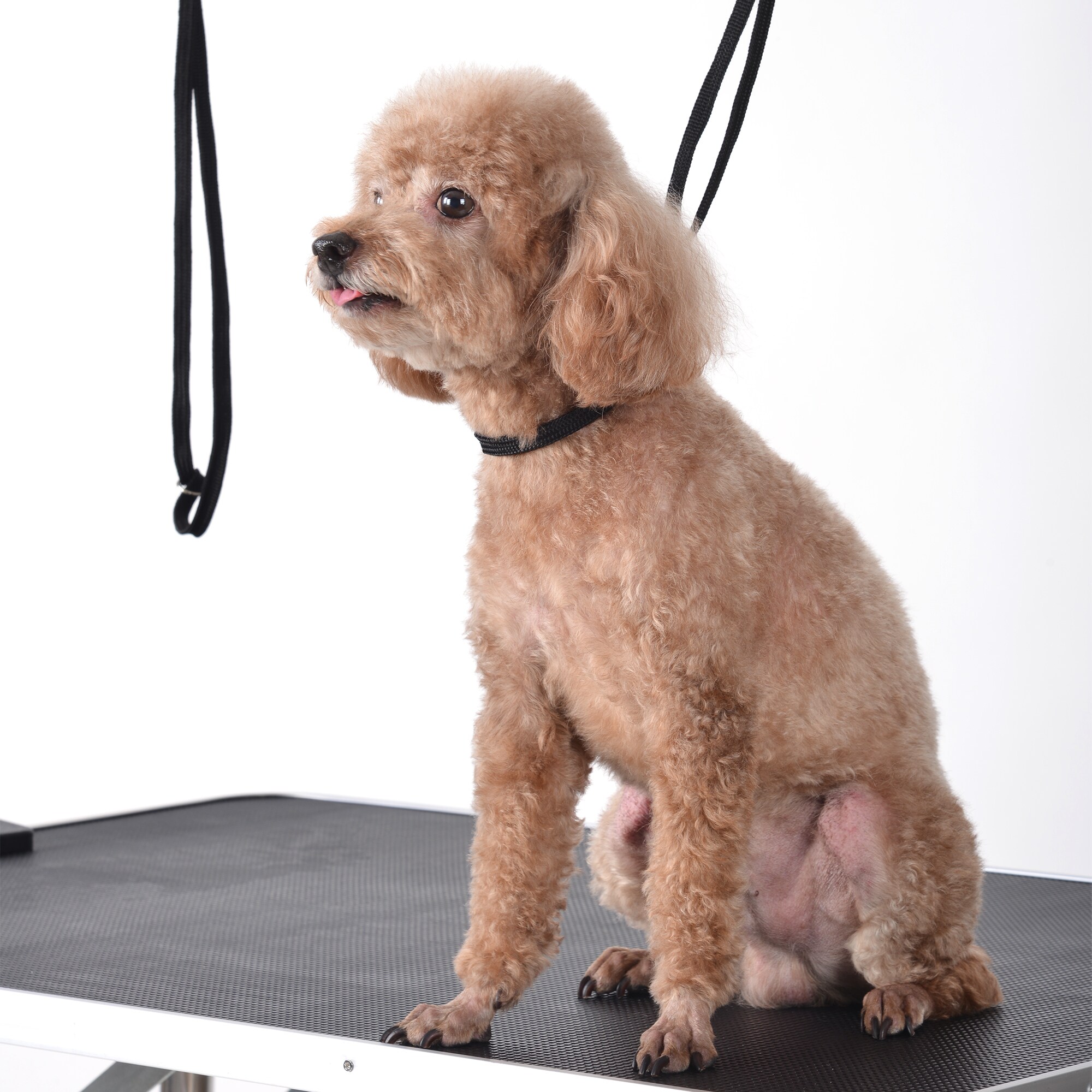 Xspracer ML-PGT596 Pet-Grooming-Supplies - View #8