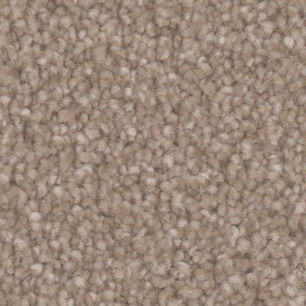 STAINMASTER S9860-10005-1200-MO Bliss III Brocade Brown 60-oz sq yard Polyester Textured Indoor Carpet