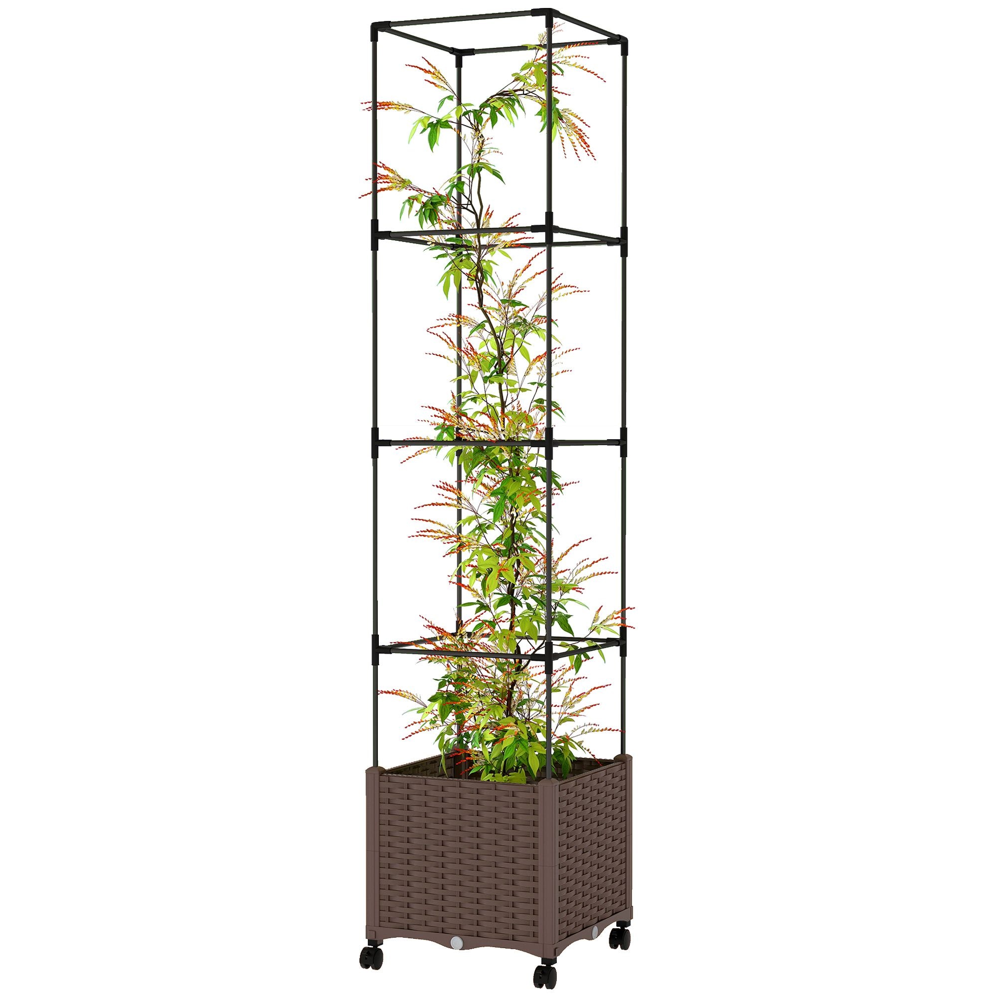 CJGQ - Raised Garden Bed with Trellis and Tomato Cage Support Self Watering Planter Box with Drai...