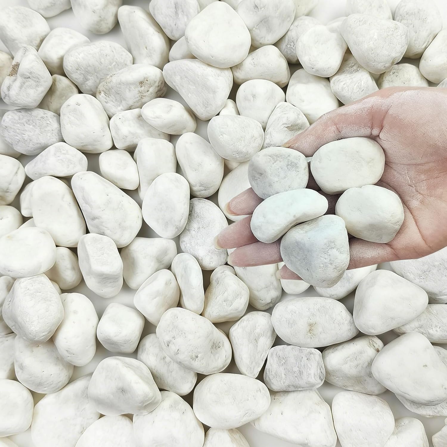 FANTIAN 5 lb White River Rock Pebbles 1 to 2 Inch Natural Decorative Gravel Stones for Indoor Outdoor Plants Succulents Cactus Landscaping Vases and Aquariums