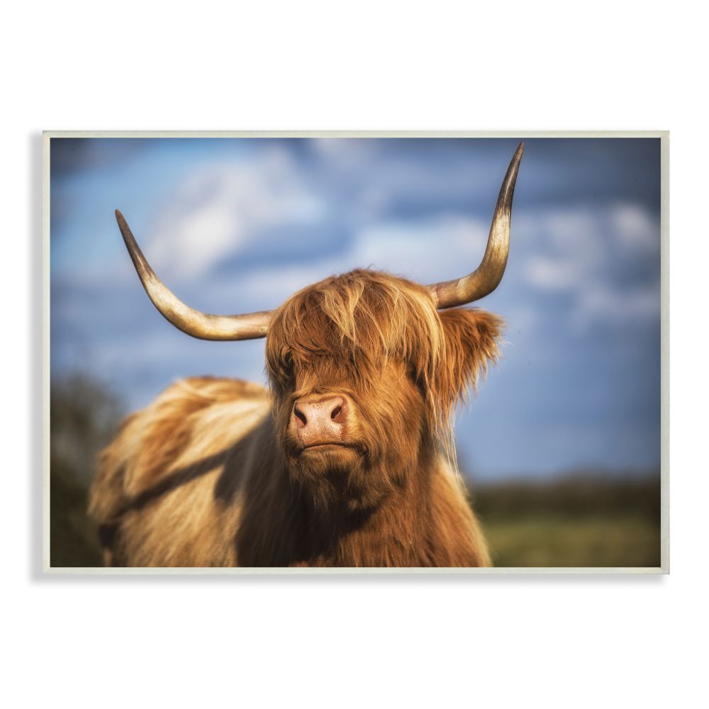 Stupell Industries Beautiful Cow In Pasture Animal Landscape Photo ...