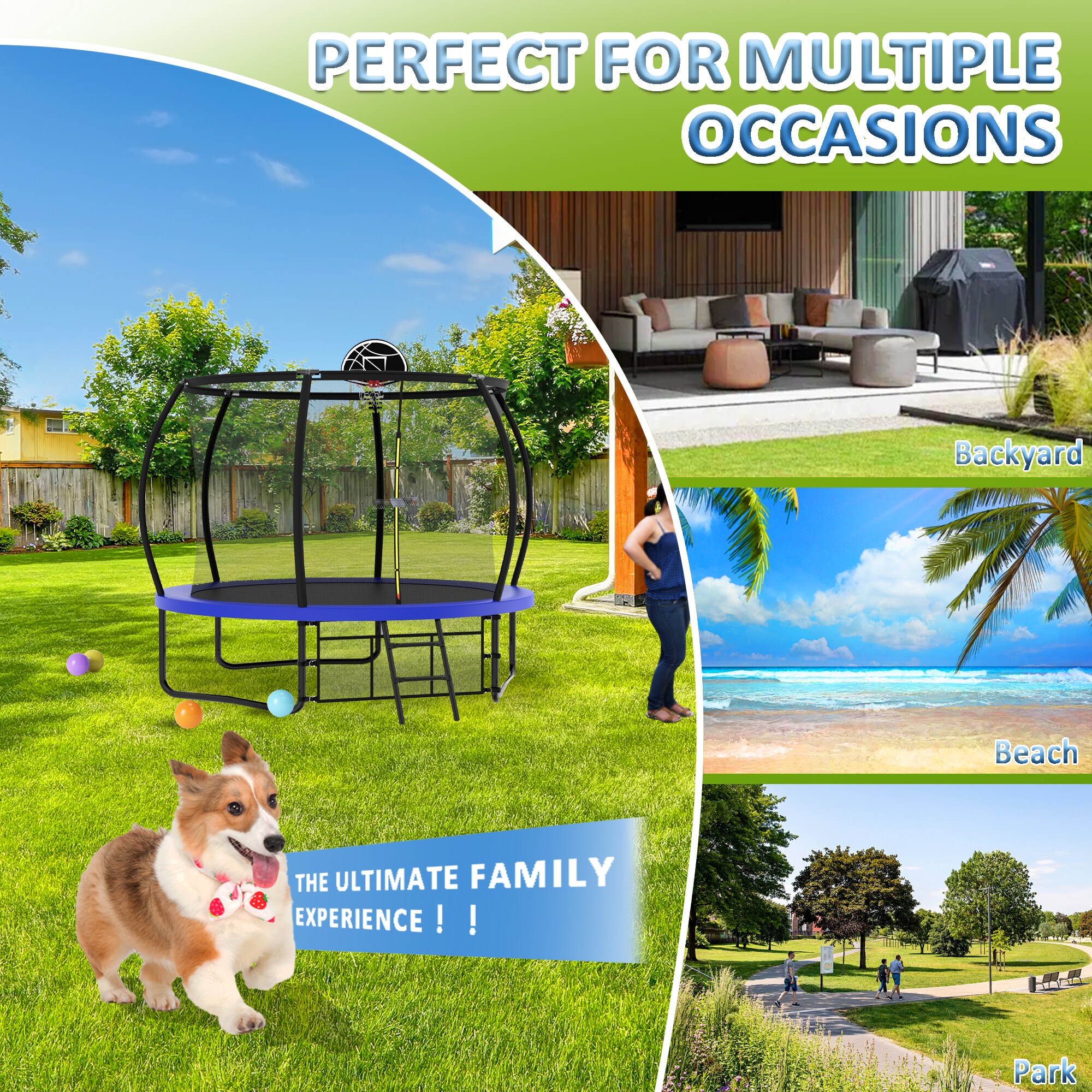 Sunrinx MG8-TP-10 trampolines - View #10