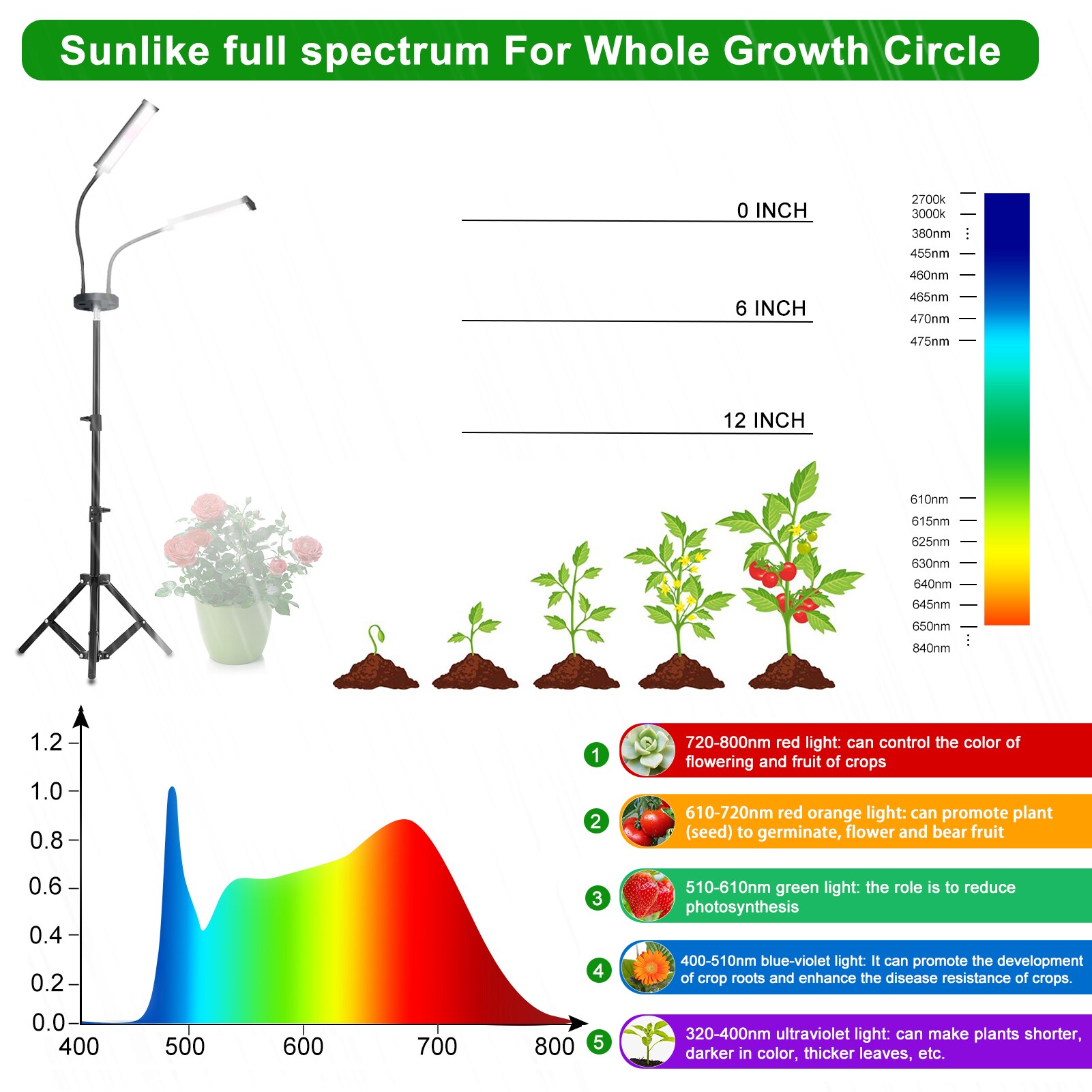 BANSA ROSE DOLW071260 Grow-Lights - View #3