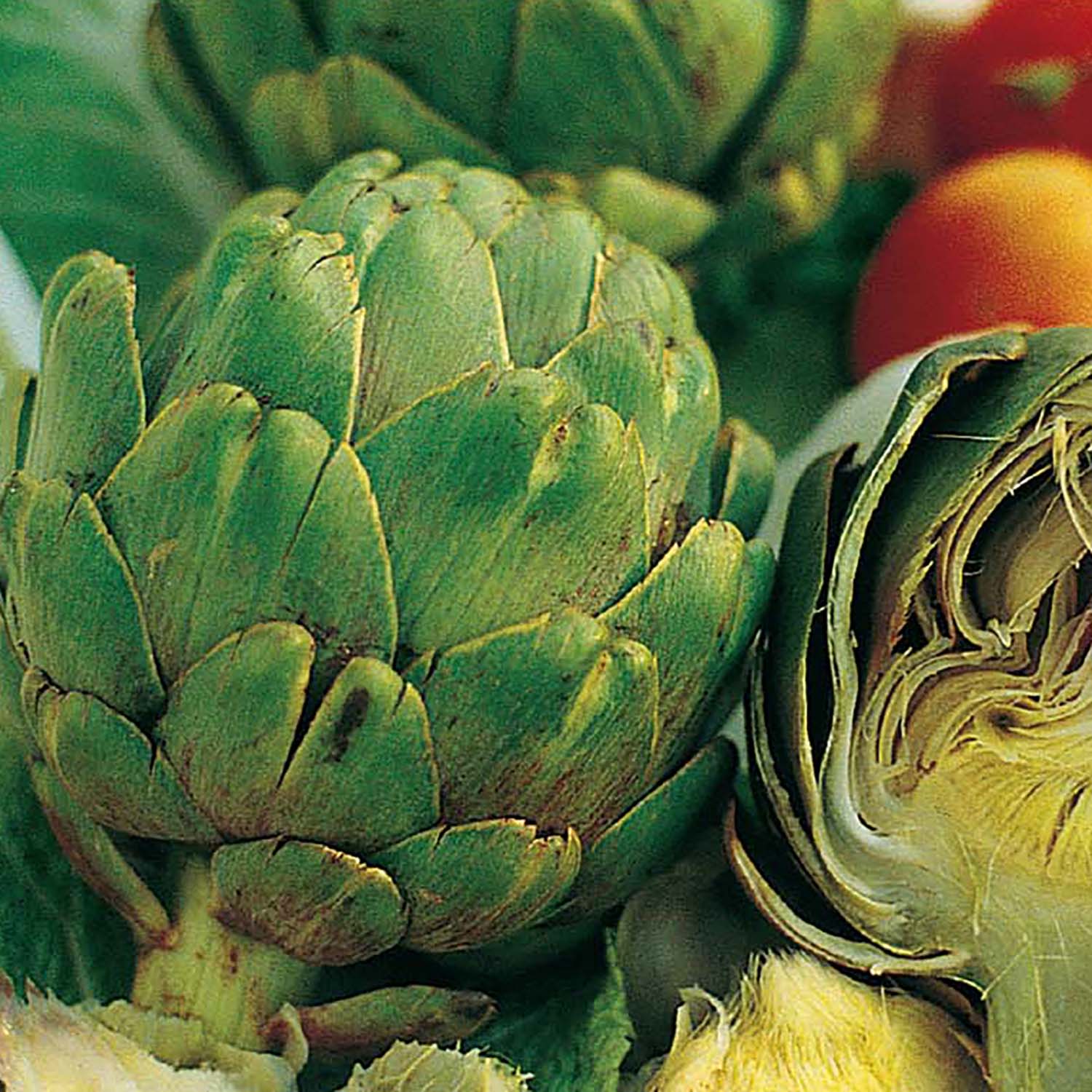 Ferry-Morse LC25.9559 Vegetable-Herb-Seeds - View #3