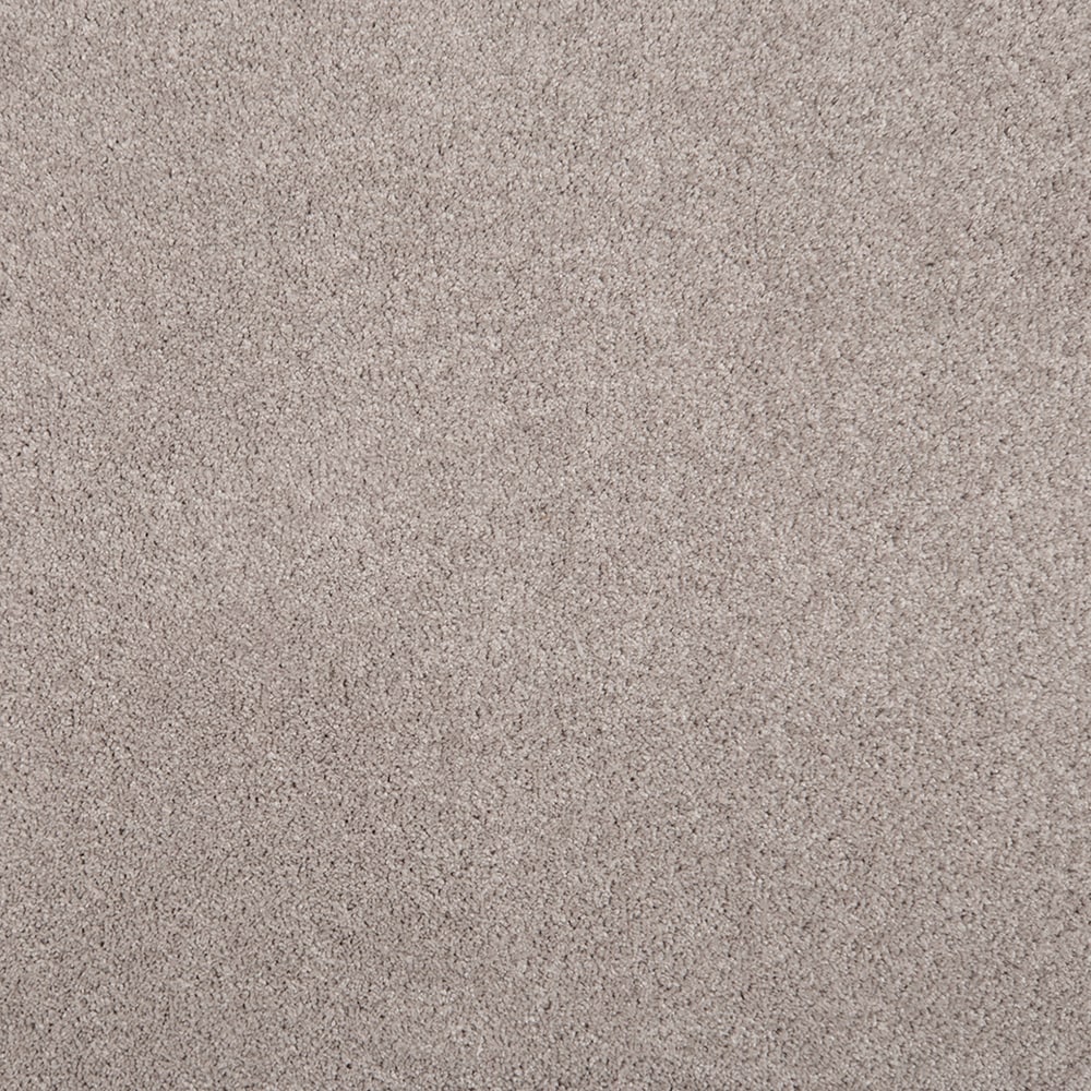 STAINMASTER PetProtect (Sample) 8-in x 8-in Pawfection Carved Stone Brown 70-oz sq yard Triexta Textured Indoor Carpet