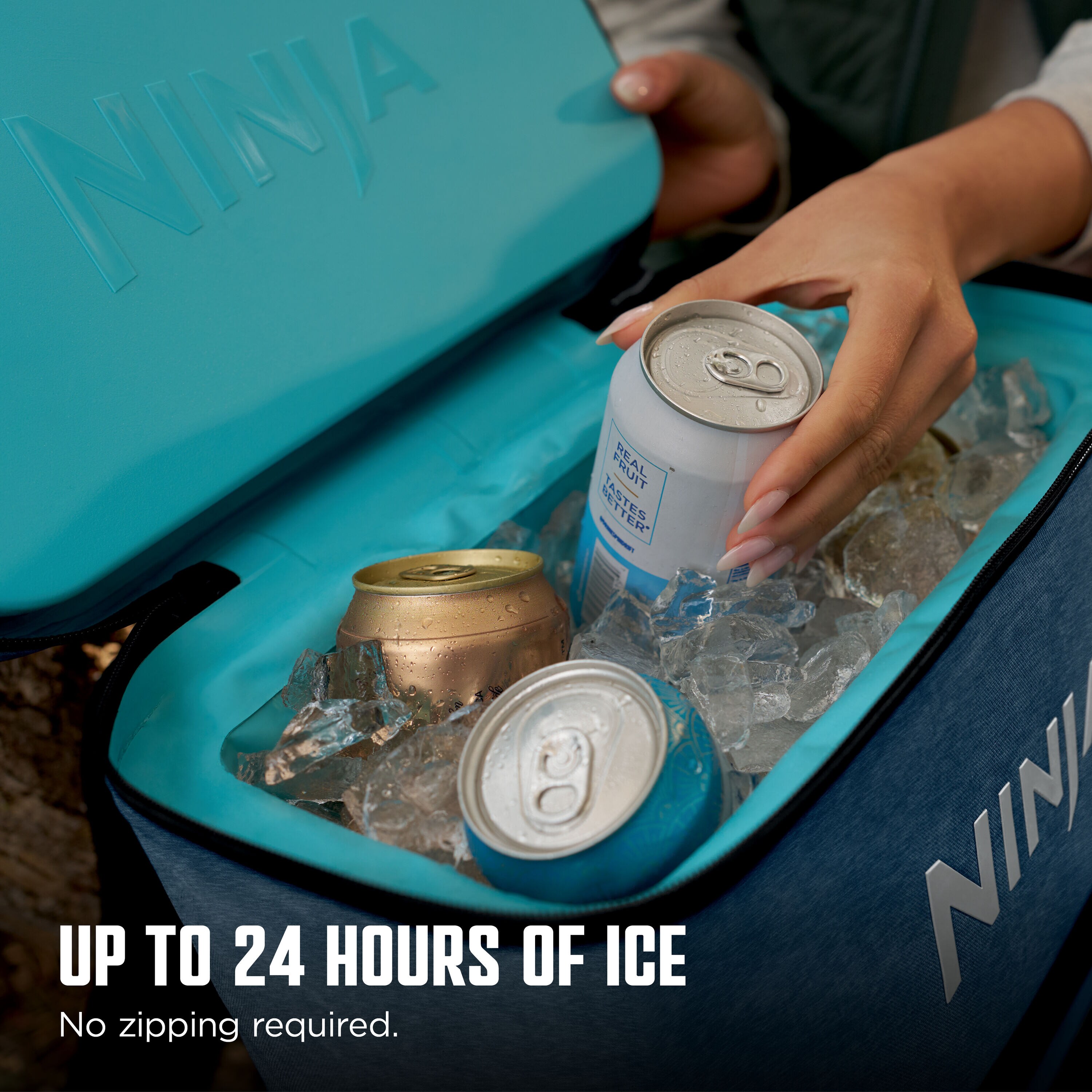 Ninja FF124NV Portable-Coolers - View #5