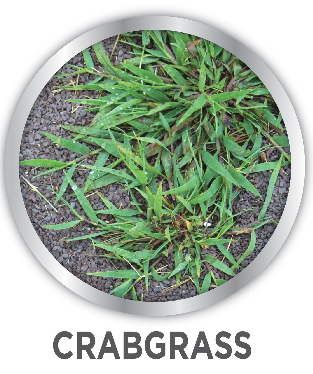 IMAGE 7062461009 Weed-Preventers - View #8