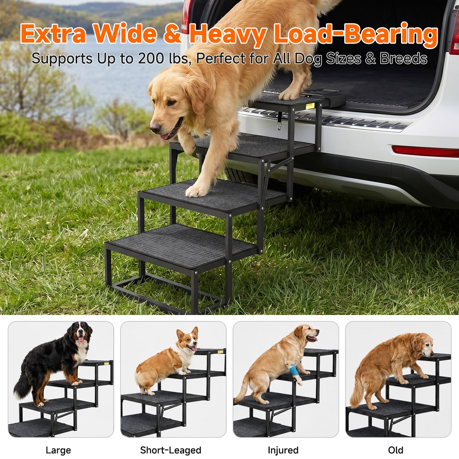 Esazn I1331671-BKLT-M-GY01 Pet-Steps - View #4