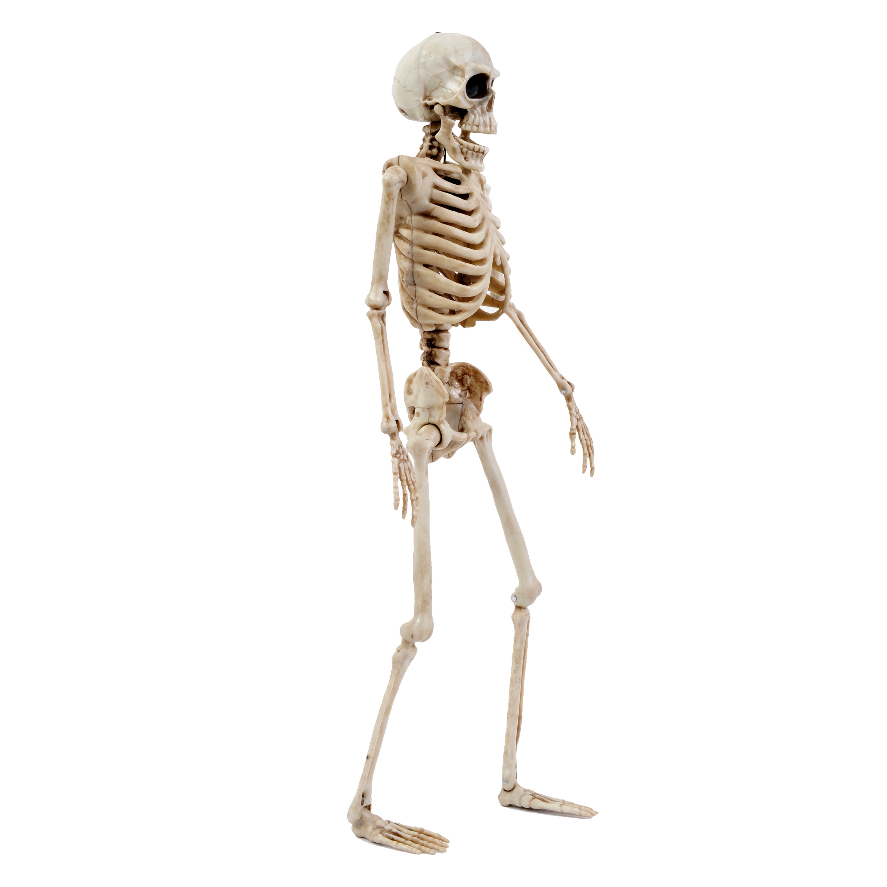 Haunted Living 91481LW Table-Halloween-Decor - View #5