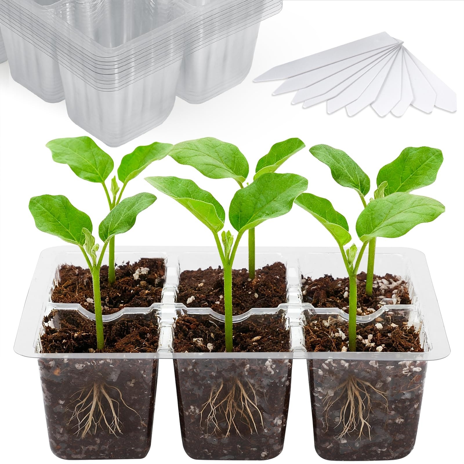 Justincity  10 pack seed starter tray clear plastic with drainage holes reusable durable 6 cell trays for root monitoring easy transplanting
