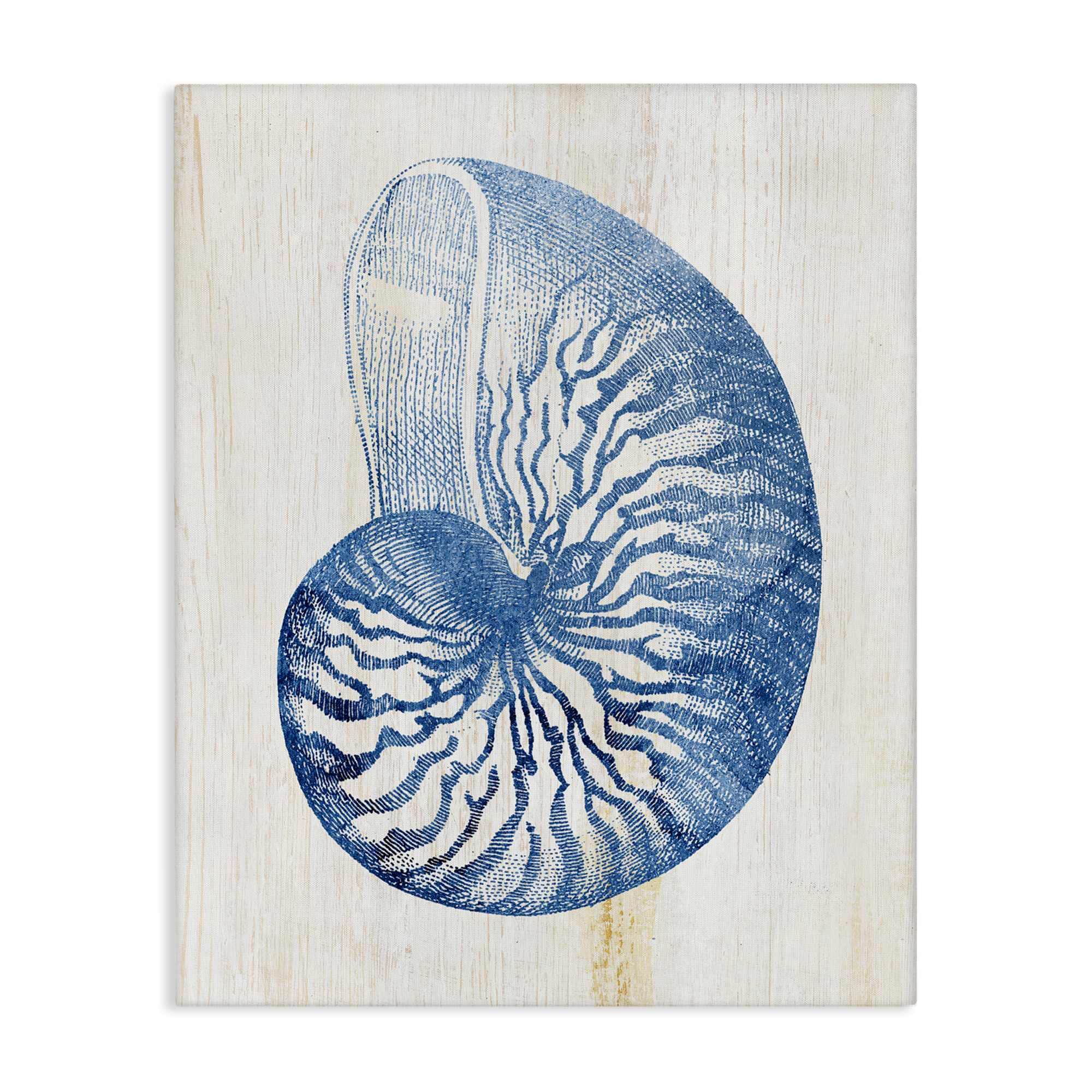 Stupell Industries BS-153-CN-36X48 Blue Nautilus Shell Canvas Wall Art By Susan Arnot 36 x 48