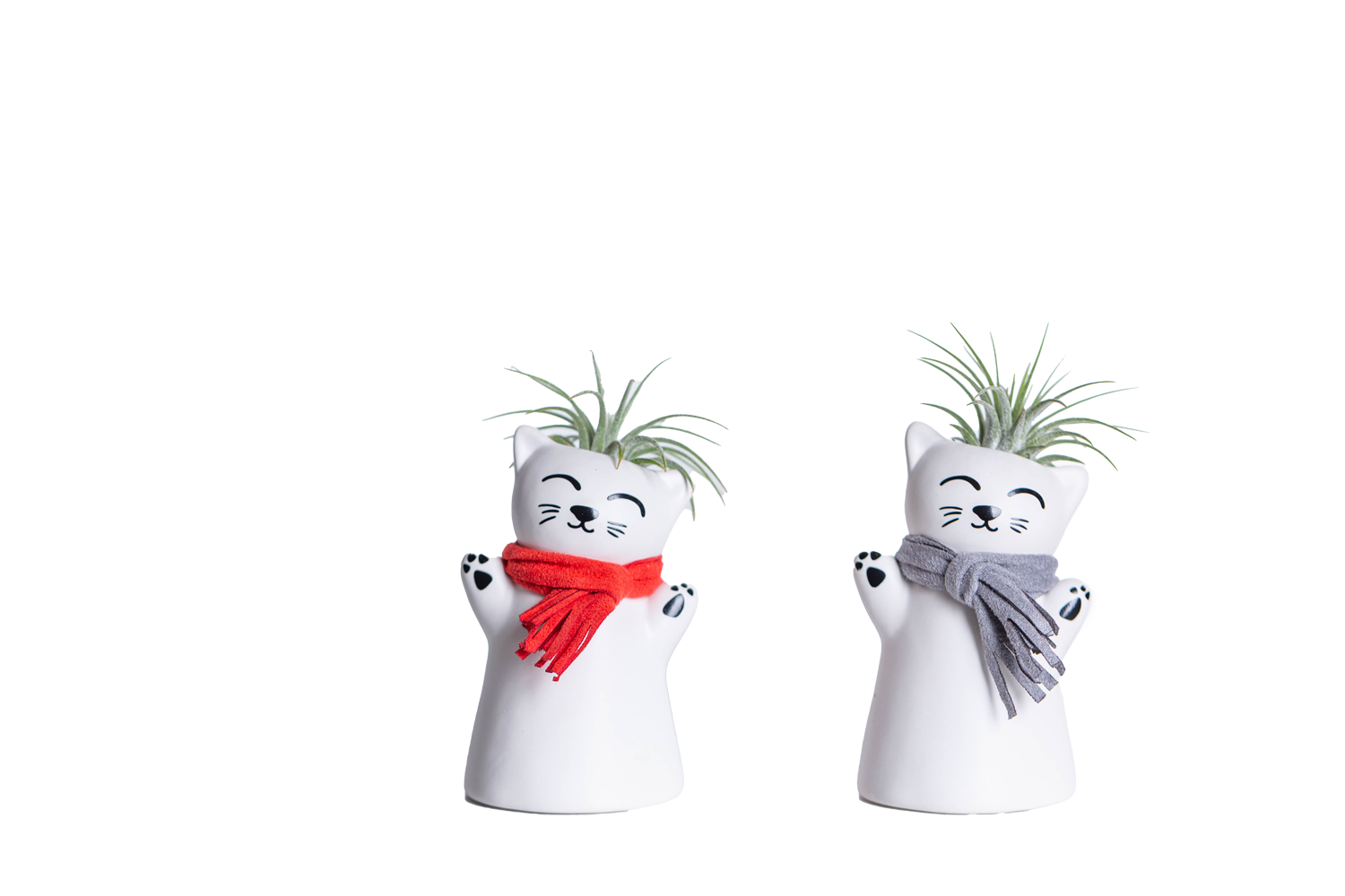 LiveTrends ASB07885 Kitty Claus - Air Plant House plant in 3 -Pack Pot 3 -Pack