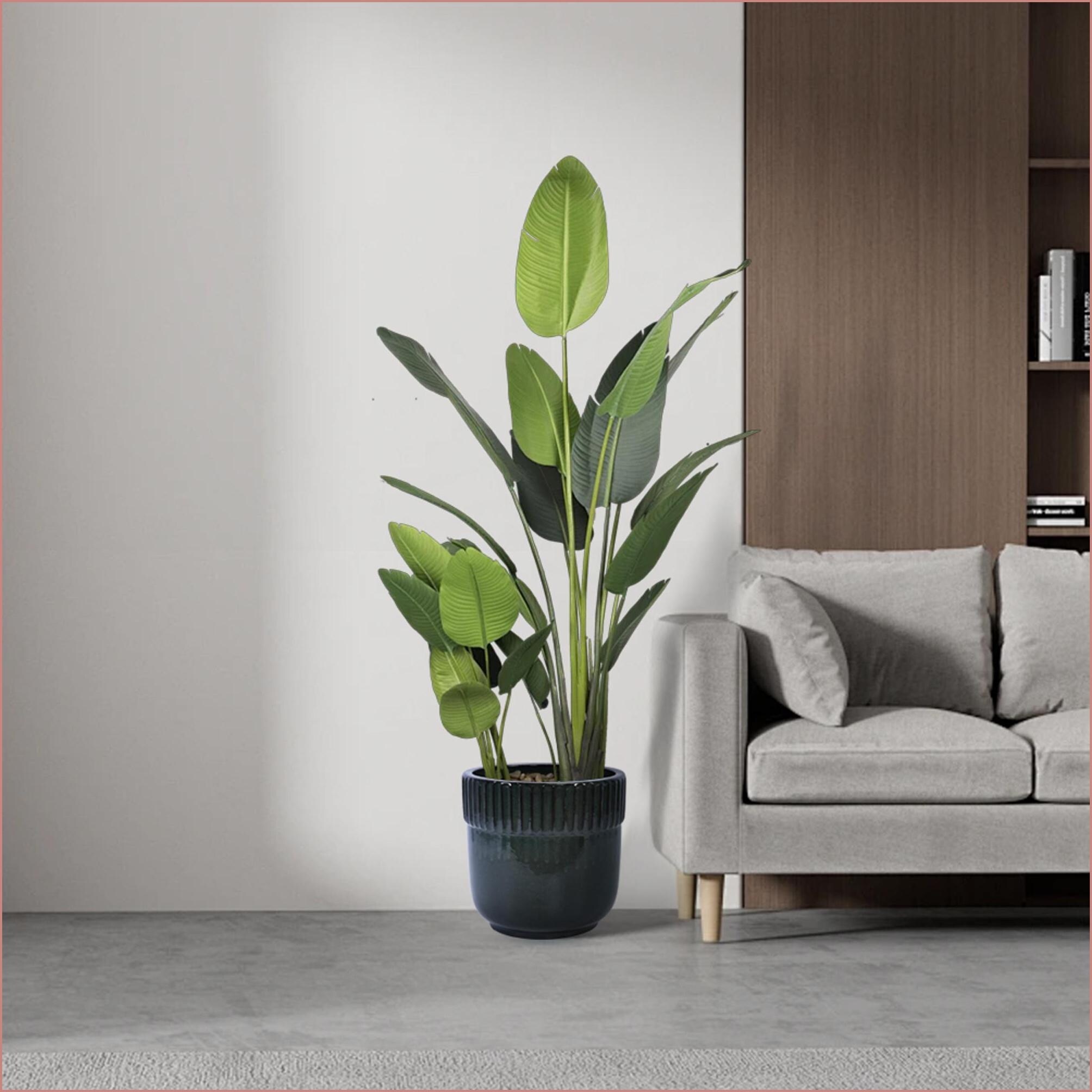 Watnature 43W91Q2GTH8R Planter-Window-Box - View #9