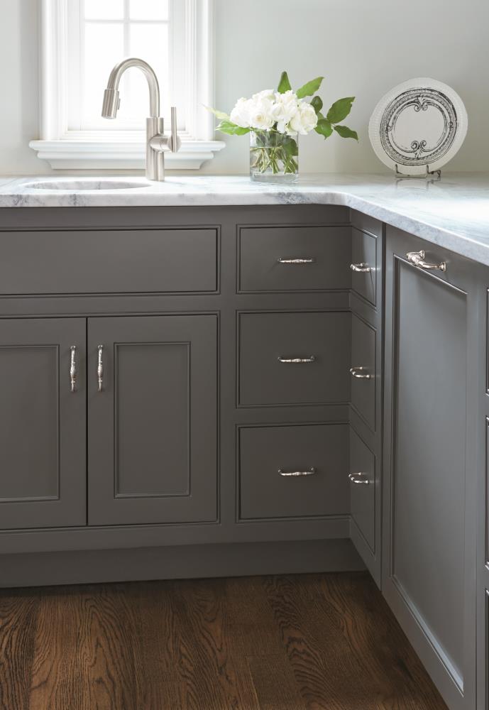 Polished Nickel Traditional Cabinet Pull with Mounting Hardware