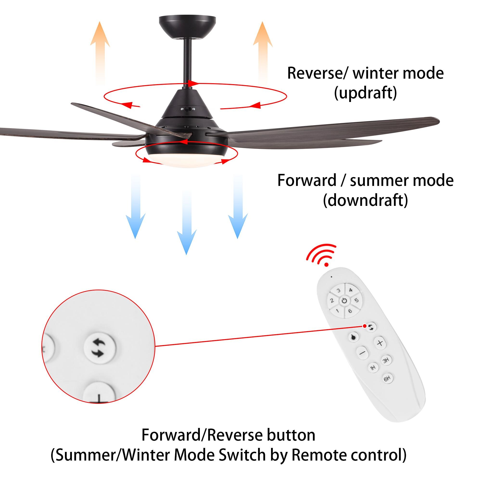 Bayfeve BFYH-55950-CF Ceiling-Fans - View #12