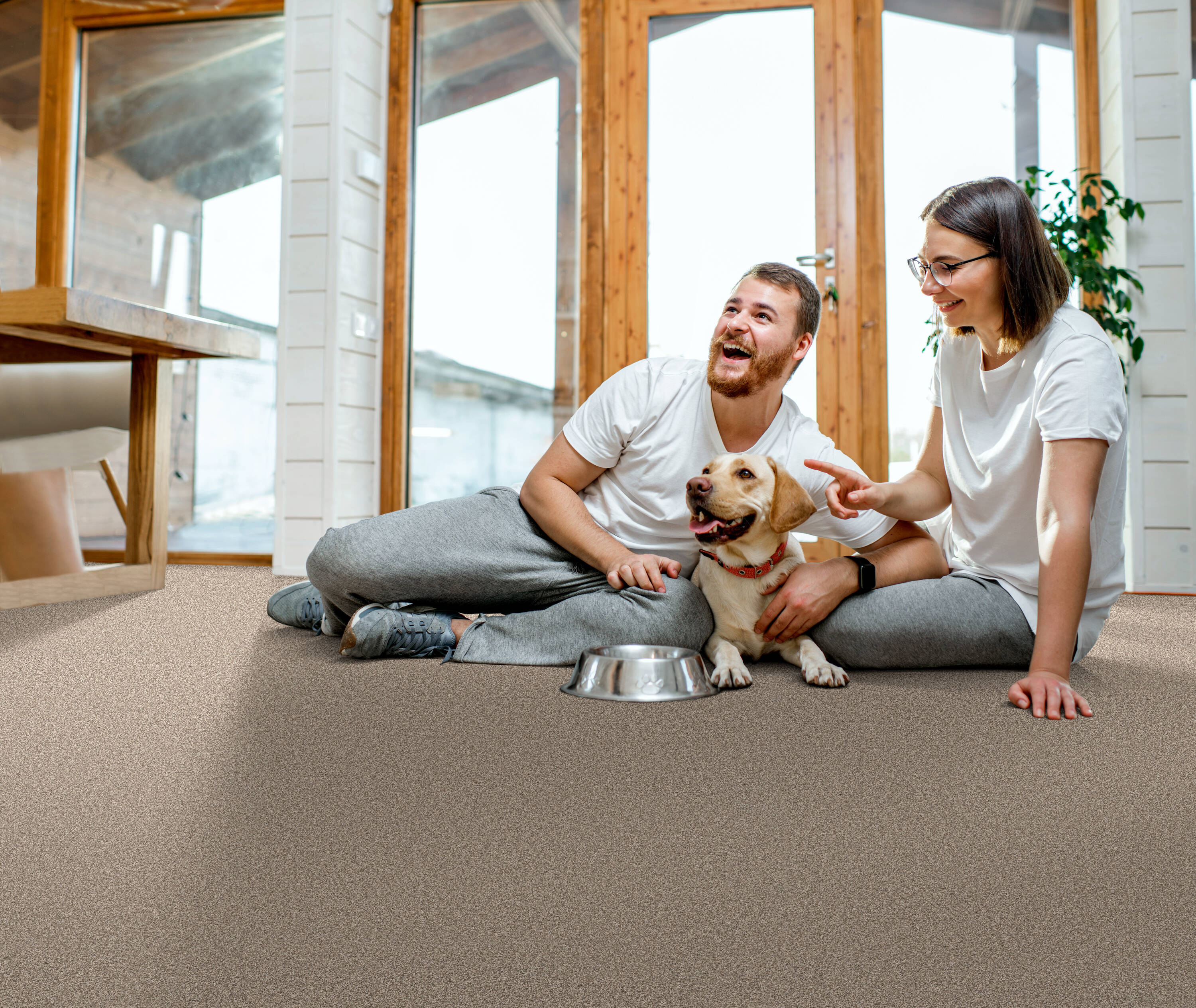 STAINMASTER 7L878 - 700 - SAMP Carpet-Samples - View #3