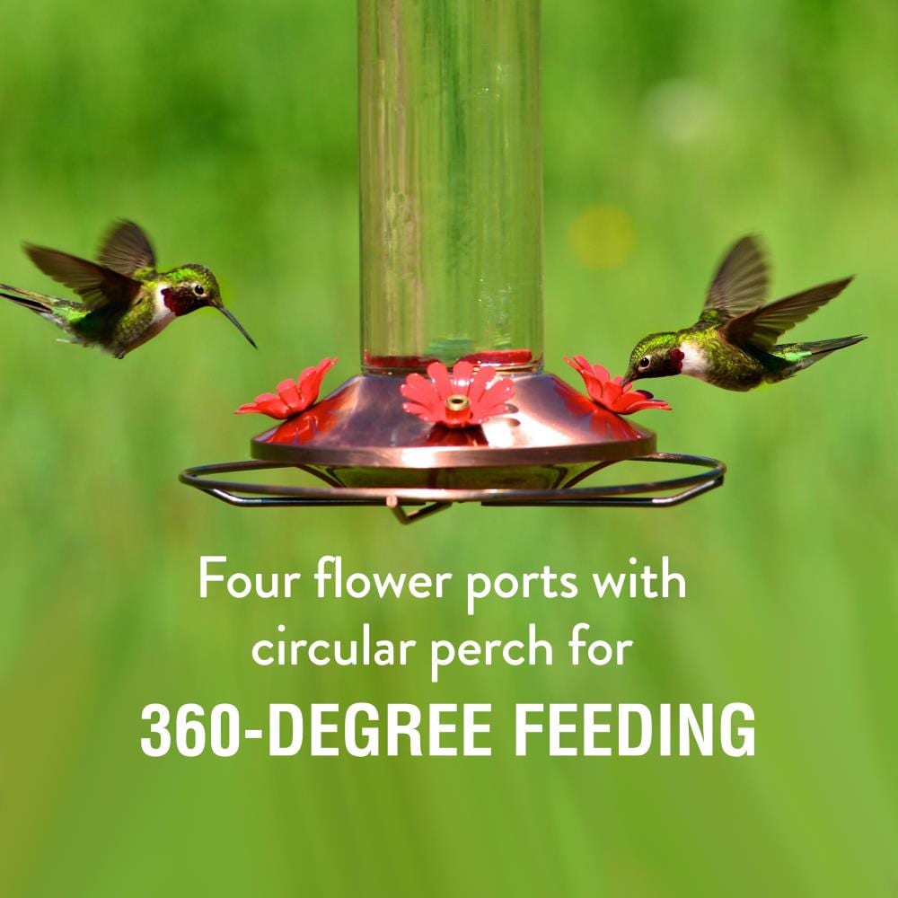 Perky-Pet 710B Bird-Feeders - View #11