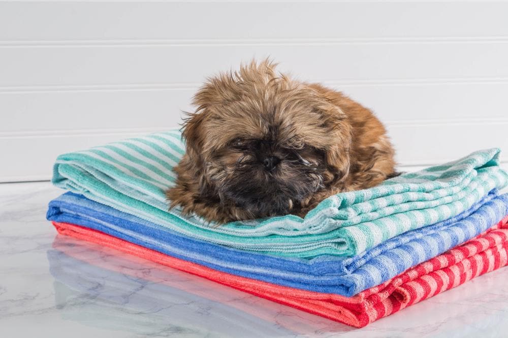 DII CAMZ36569 Pet-Grooming-Supplies - View #7