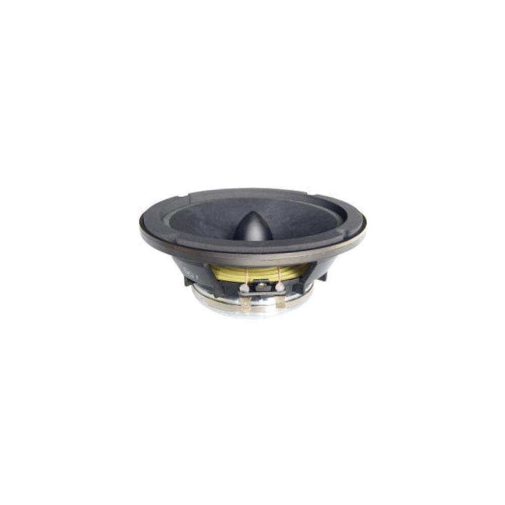  ZX9TNSR3029 High Power 6.5 in 8 ohm Low and Mid Speaker with Magnet Neodymium